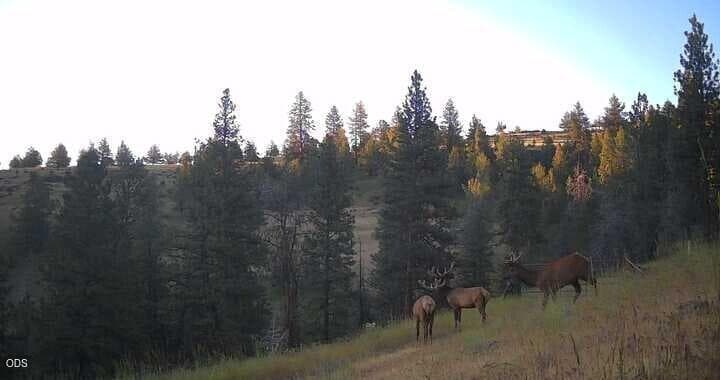 elk pic. Photo 1 of 20, 44540 Wind Creek Lane, Dayville, OR 97825
