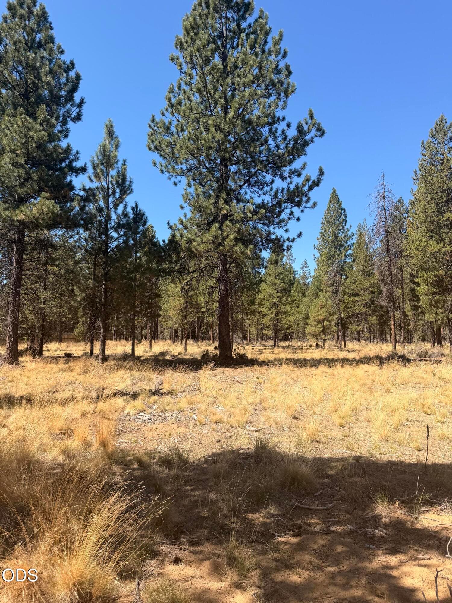 IMG_1633. Photo 2 of 6, 56031 Savage Drive, Bend, OR 97707