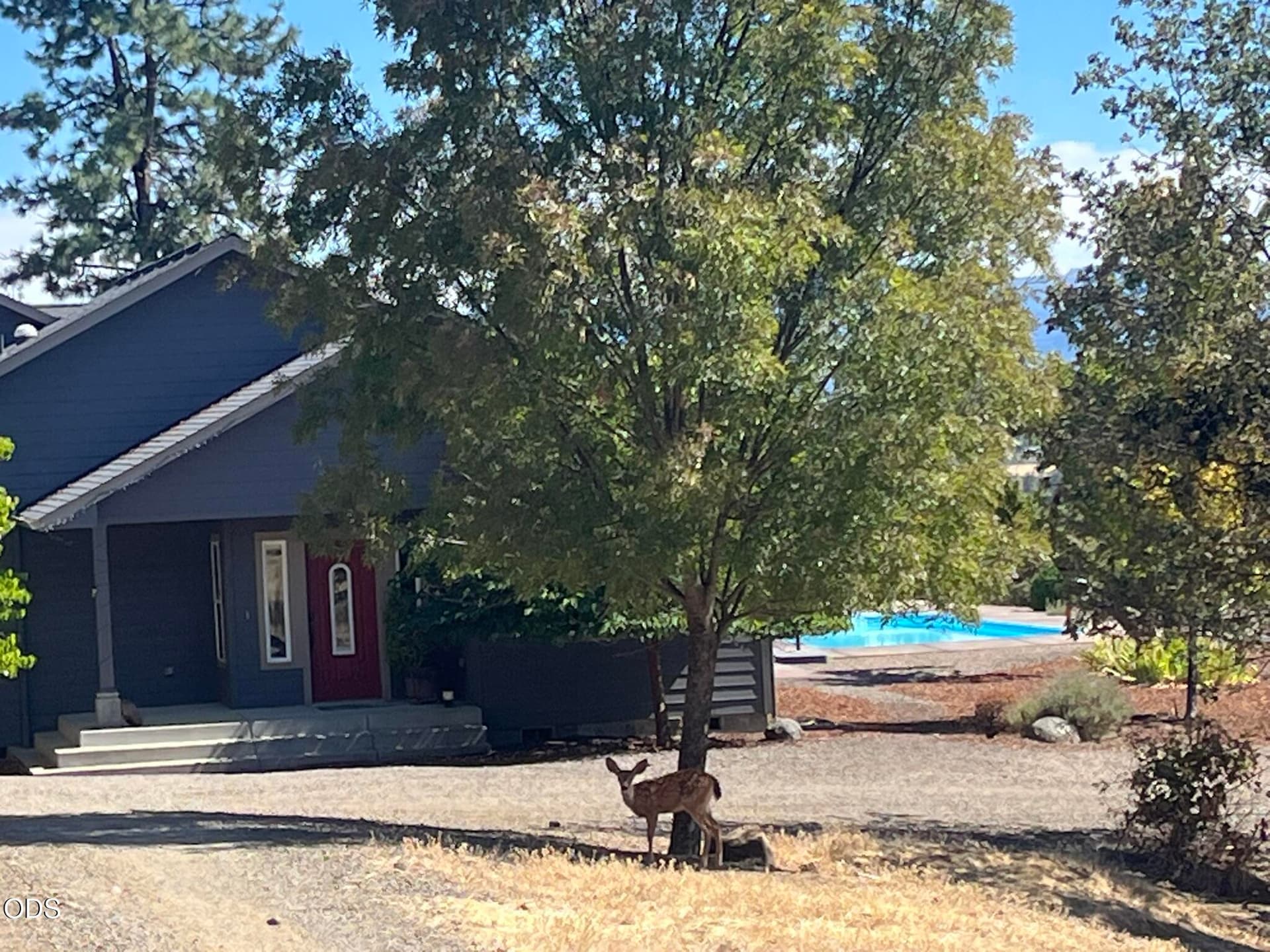 IMG_0646. Photo 1 of 37, 158 Rockingham Circle, Eagle Point, OR 97524