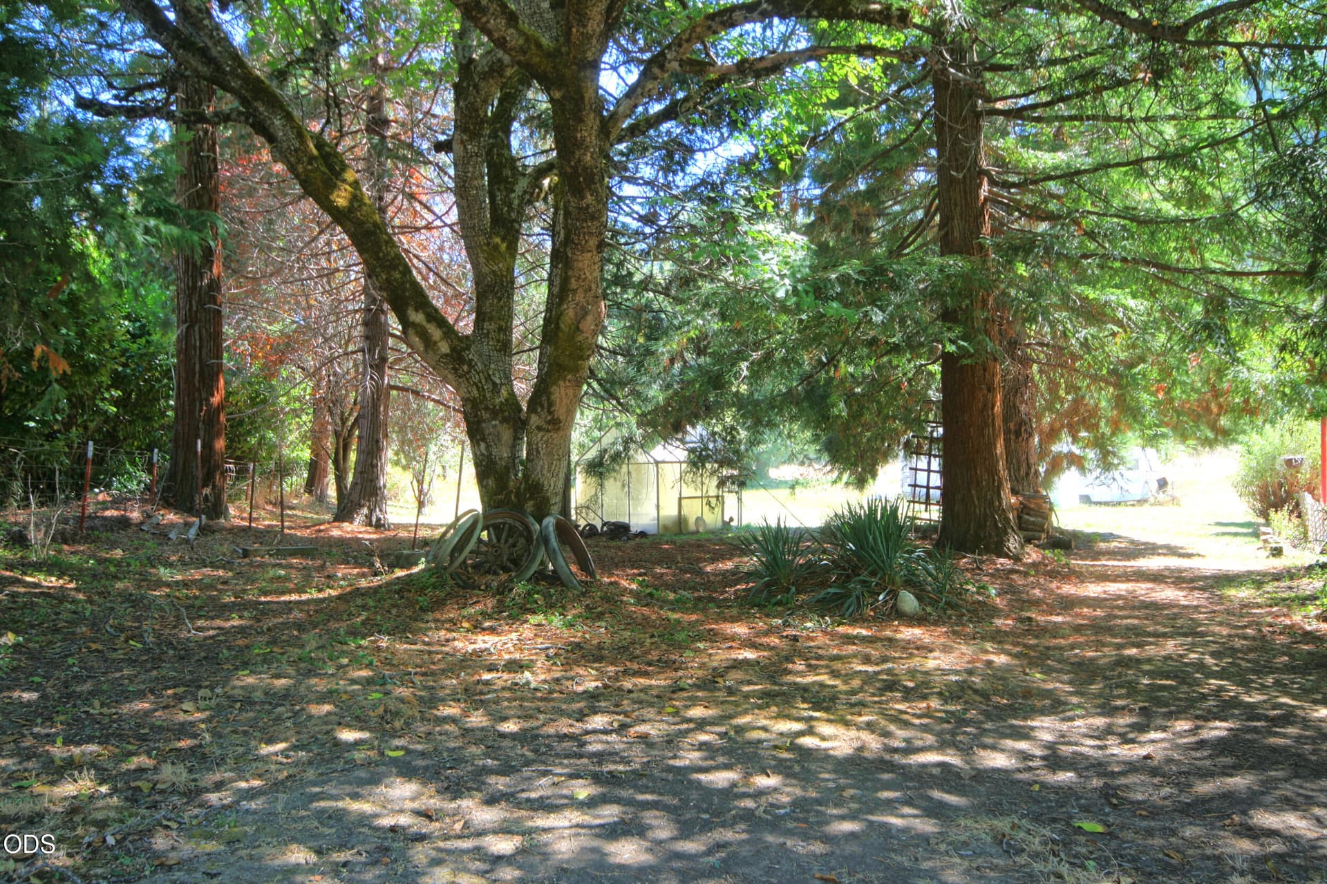 side yard. Photo 4 of 37, 12707 Highway 238, Applegate, OR 97530