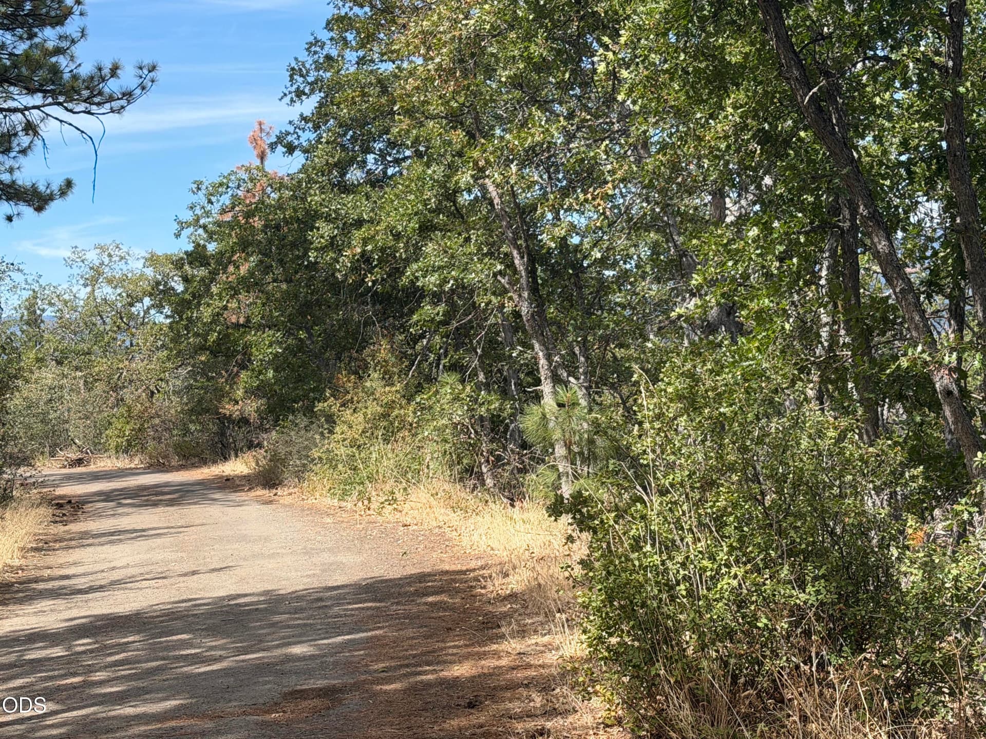 IMG_5311. Photo 1 of 1, 13103 Old Highway 99, Ashland, OR 97520