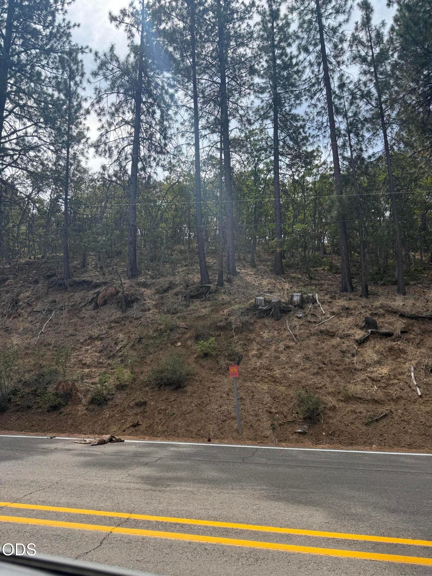 IMG_5312. Photo 1 of 1, 13099 Old Hwy 99, Ashland, OR 97520