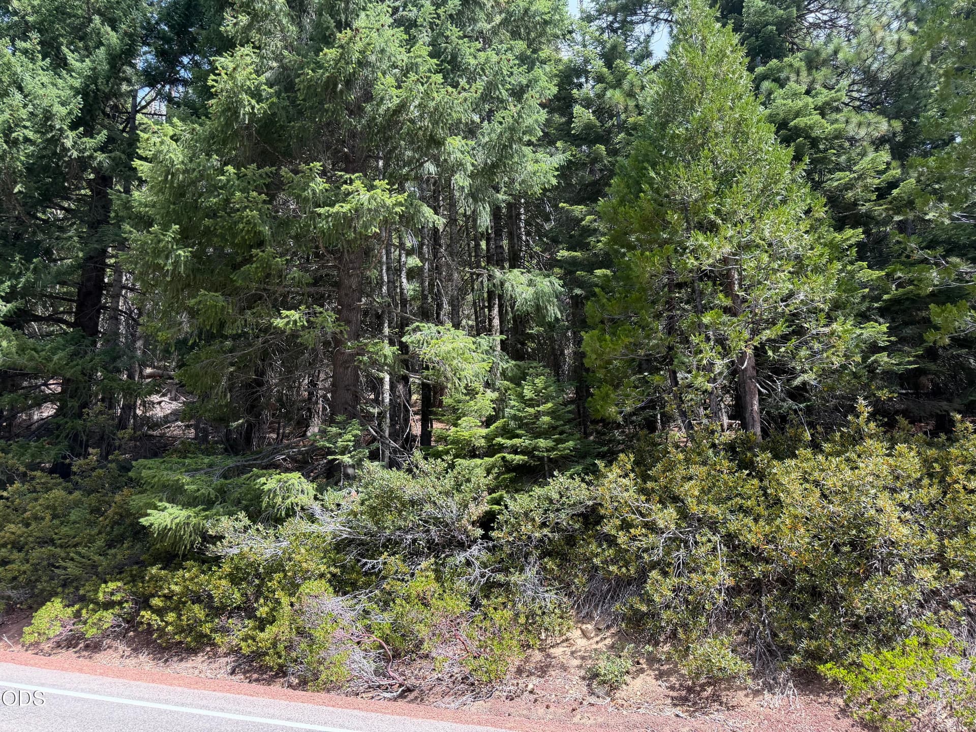 IMG_5313. Photo 1 of 1, Mt Ashland Ski Road, Ashland, OR 97520