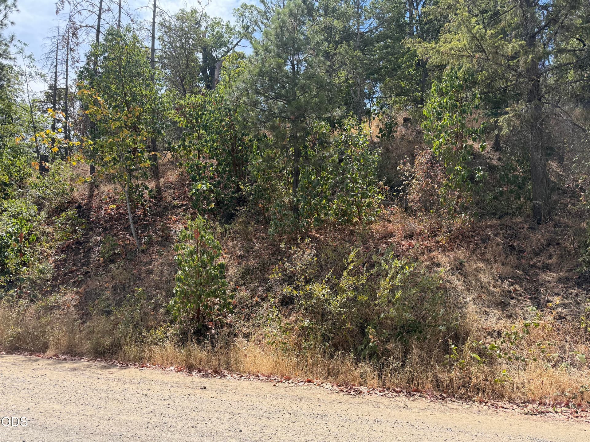 IMG_5314. Photo 1 of 1, Timberlake Drive, Ashland, OR 97520