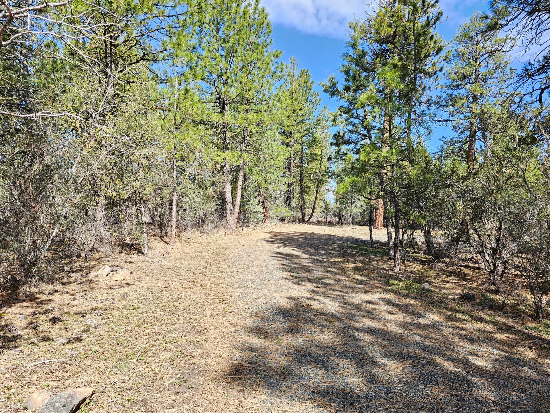 20240424_102710. Photo 1 of 14, Wolverine Lane Unit Lot 7 & 8, Bonanza, OR 97623