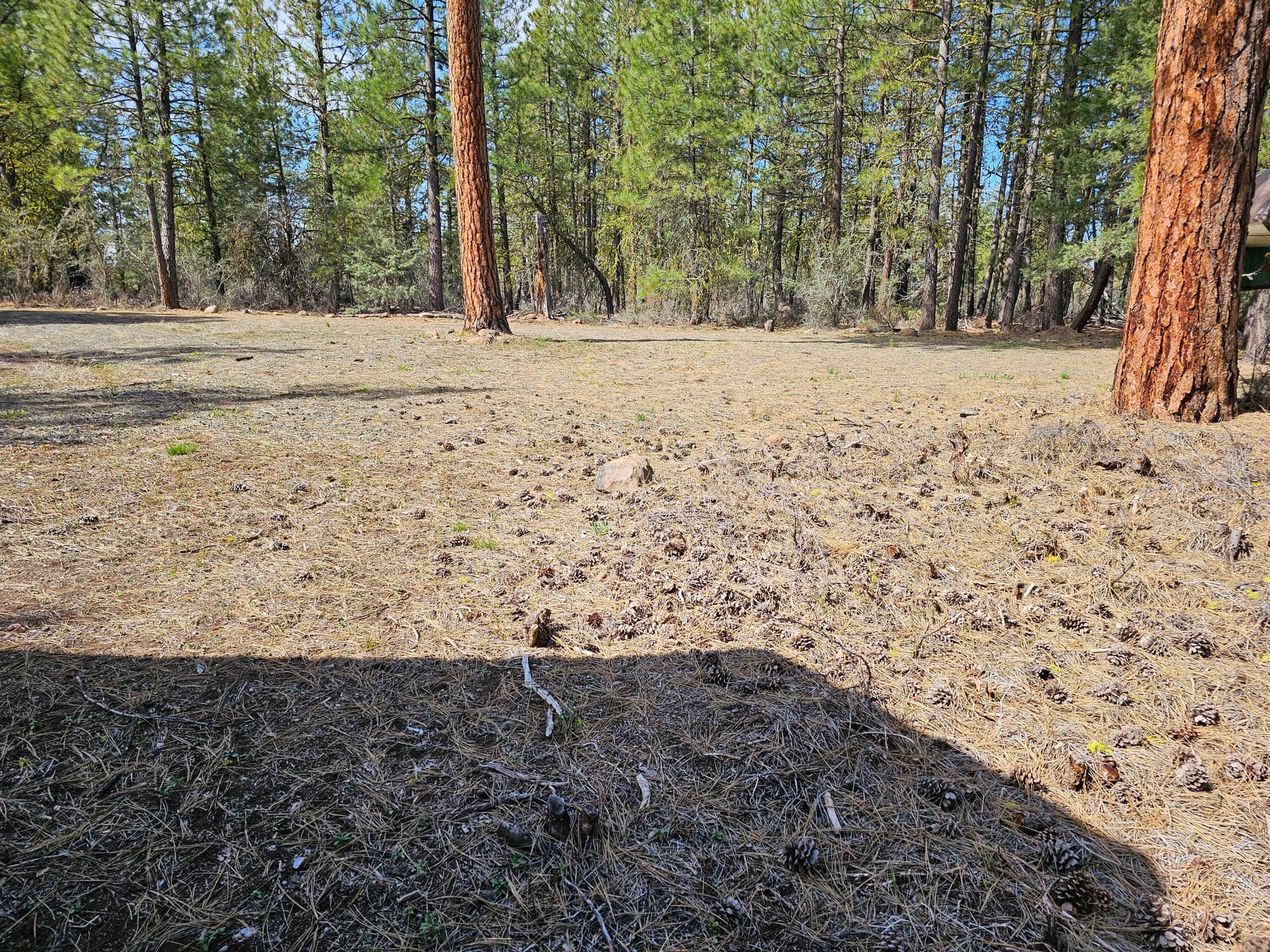 20240424_102949. Photo 3 of 14, Wolverine Lane Unit Lot 7 & 8, Bonanza, OR 97623