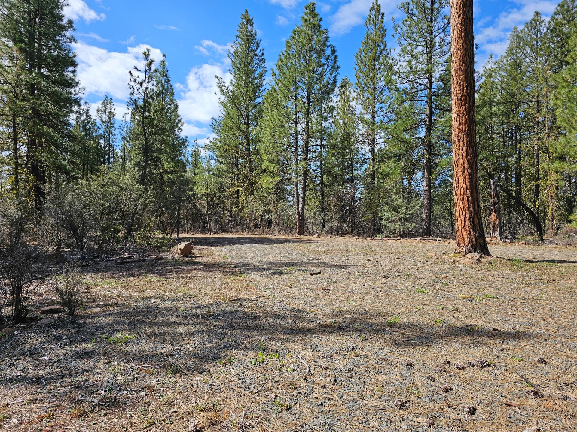 20240424_102957. Photo 4 of 14, Wolverine Lane Unit Lot 7 & 8, Bonanza, OR 97623