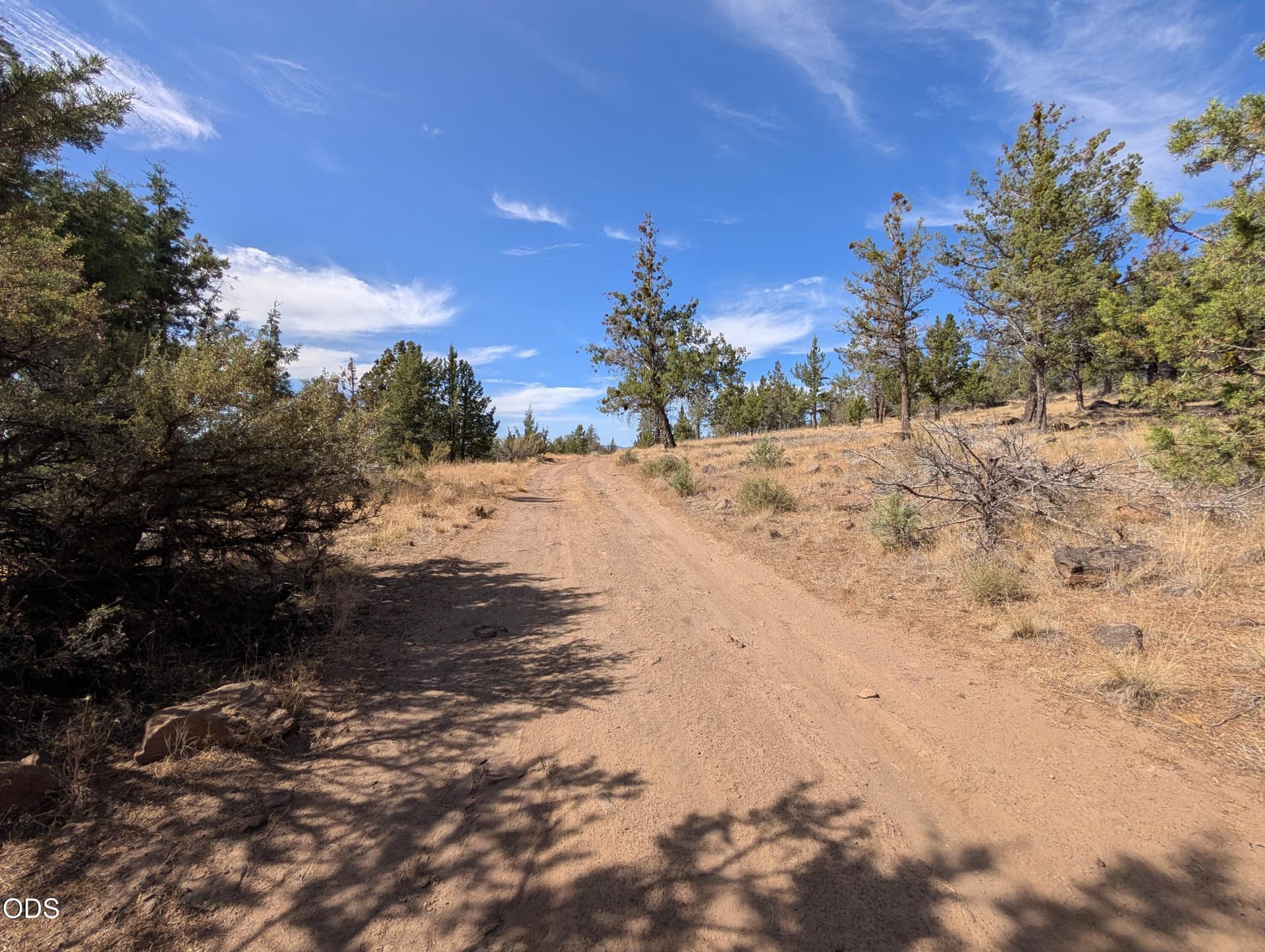 1000015215. Photo 1 of 6, Widgeon Drive Unit 12, Bonanza, OR 97623