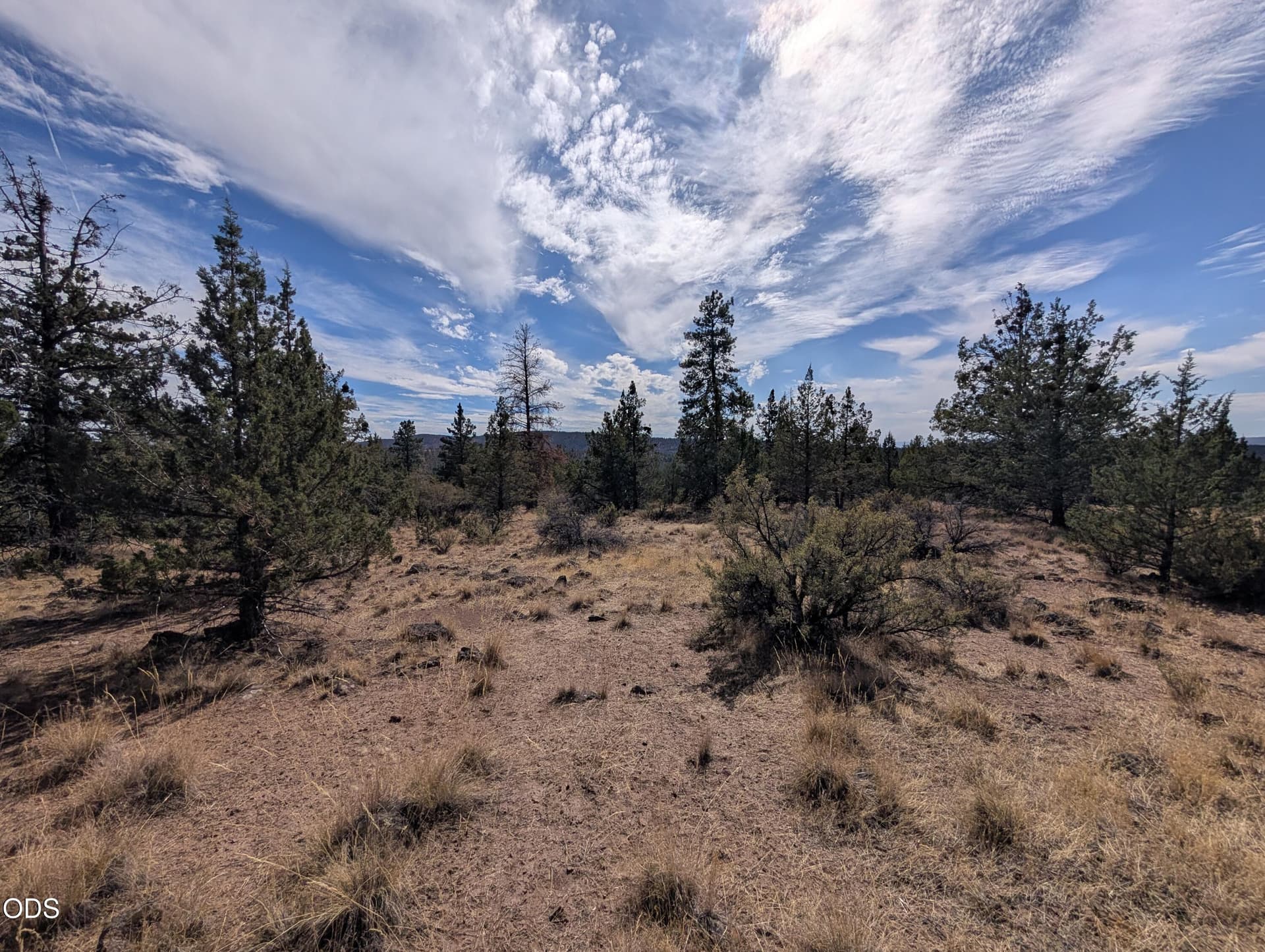 1000015214. Photo 2 of 6, Widgeon Drive Unit 12, Bonanza, OR 97623