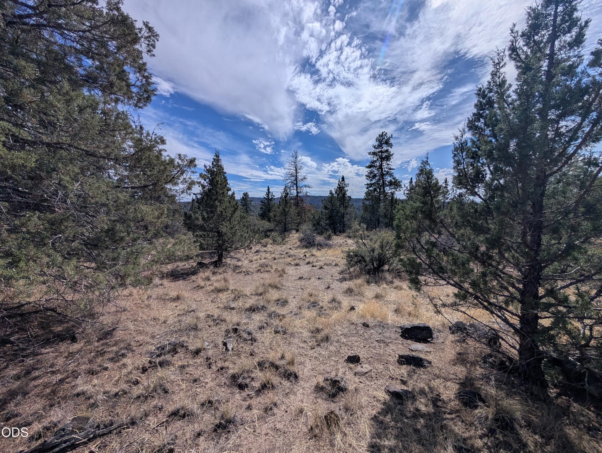 1000015211. Photo 5 of 6, Widgeon Drive Unit 12, Bonanza, OR 97623