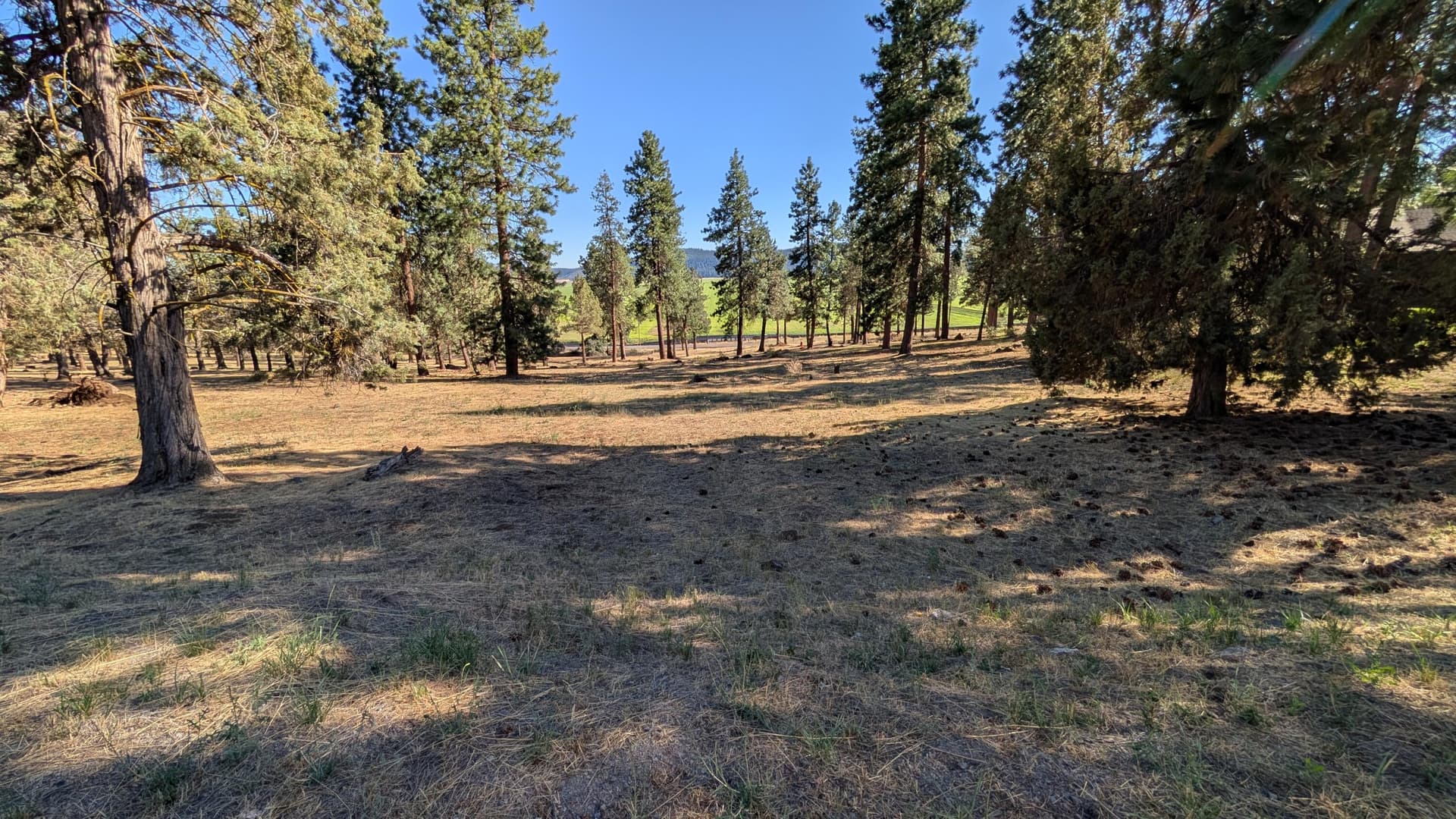 1000006938. Photo 1 of 7, Turnstone Drive Unit 1020, Klamath Falls, OR 97601