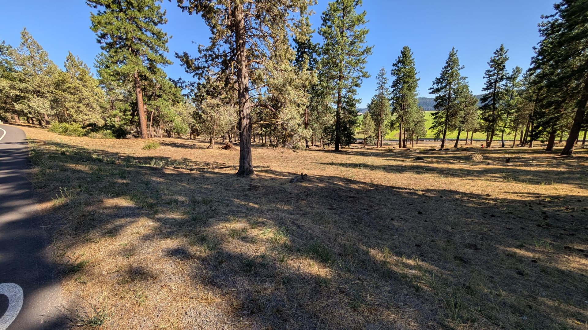 1000006939. Photo 2 of 7, Turnstone Drive Unit 1020, Klamath Falls, OR 97601