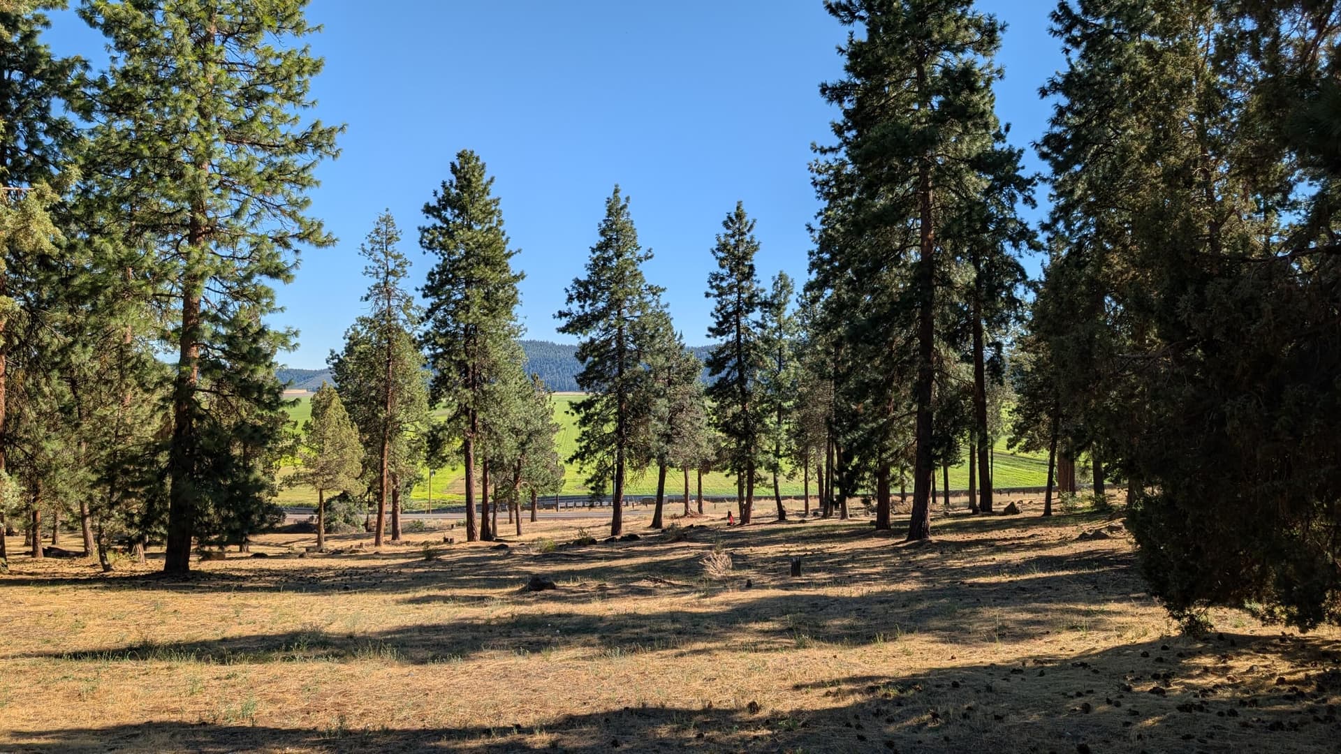 1000006942. Photo 4 of 7, Turnstone Drive Unit 1020, Klamath Falls, OR 97601