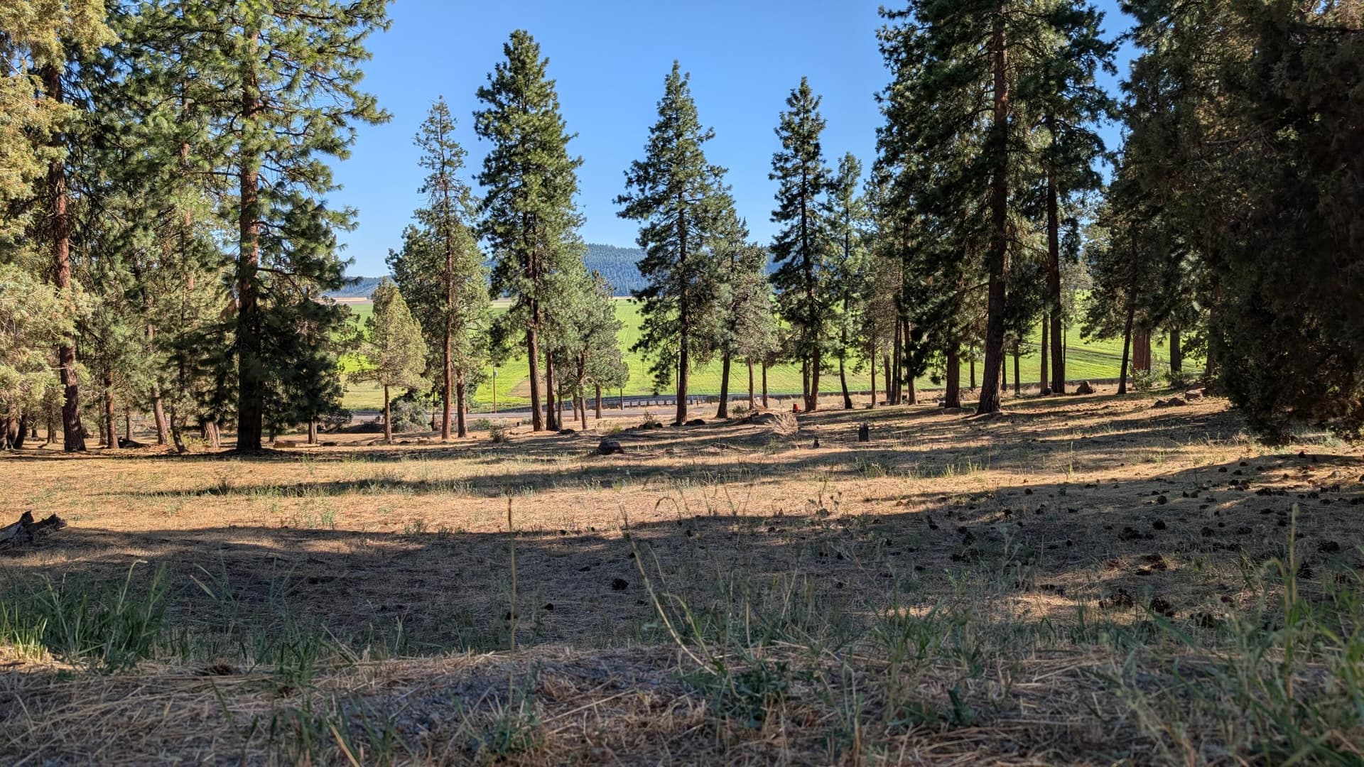 1000006943. Photo 5 of 7, Turnstone Drive Unit 1020, Klamath Falls, OR 97601