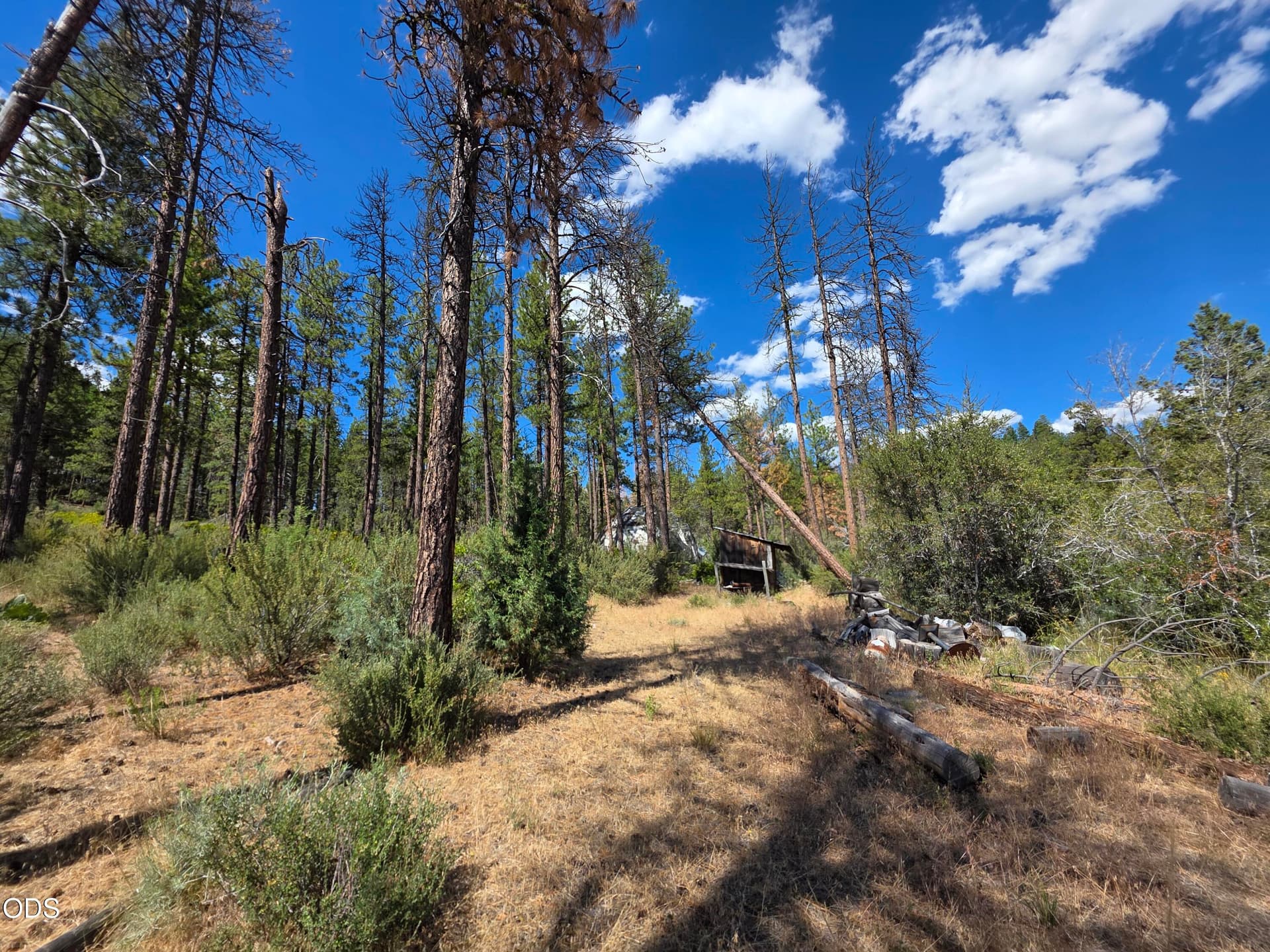 20260708_152608. Photo 3 of 10, Charlpine Unit lot 41 & 42, Sprague River, OR 97639