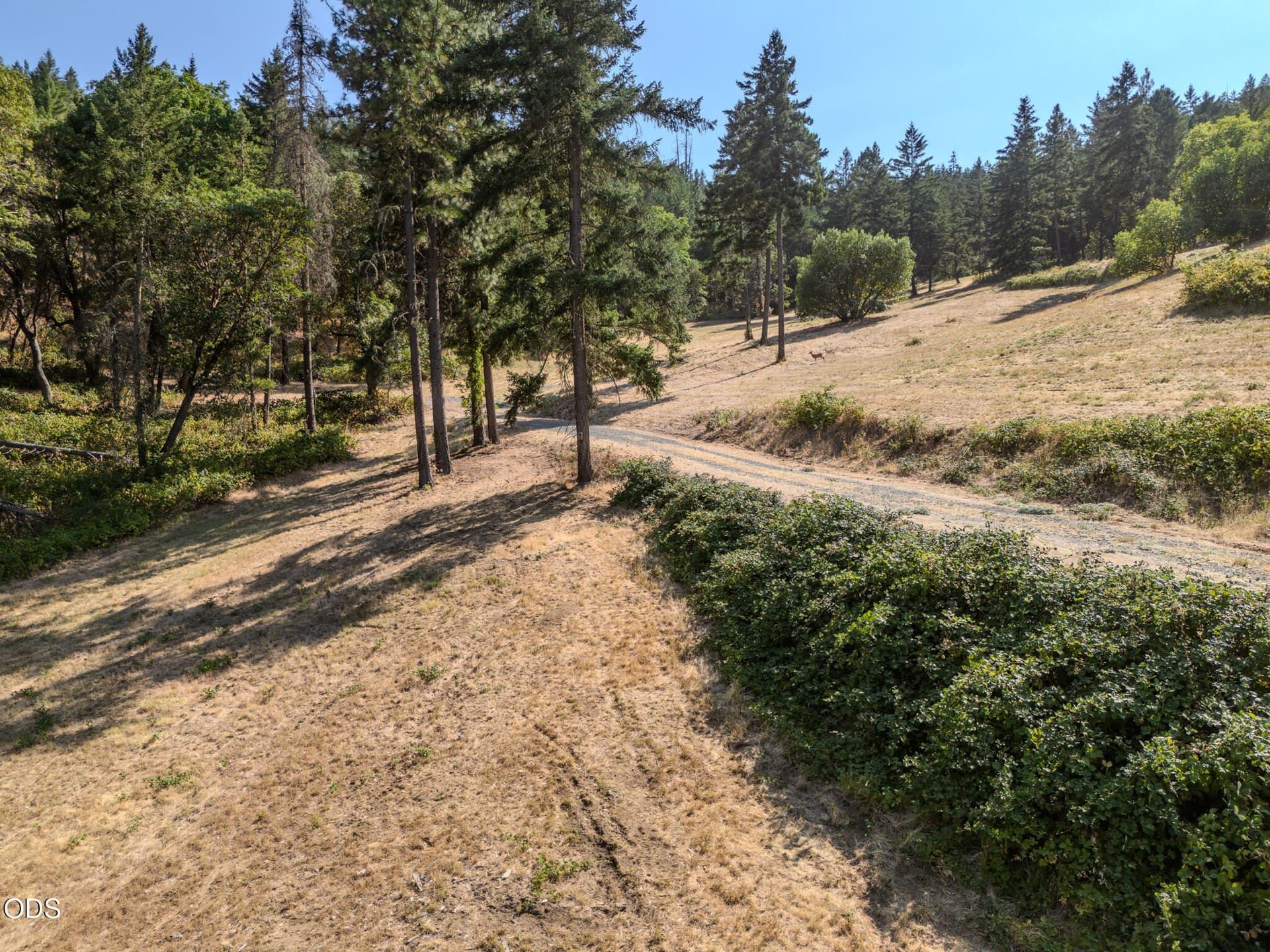 DJI_20260812071837_0671_D-HDR. Photo 4 of 15, 3591 S Stage Road Unit Lot 12, Medford, OR 97501
