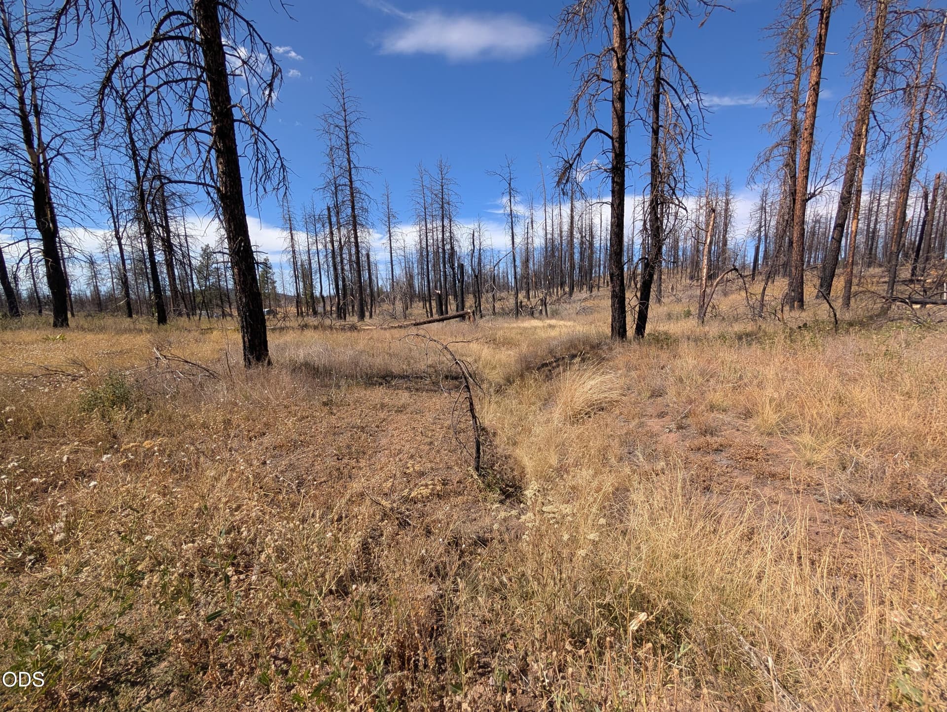 1000015204. Photo 1 of 7, Black Buck Lane Unit 25, Chiloquin, OR 97624
