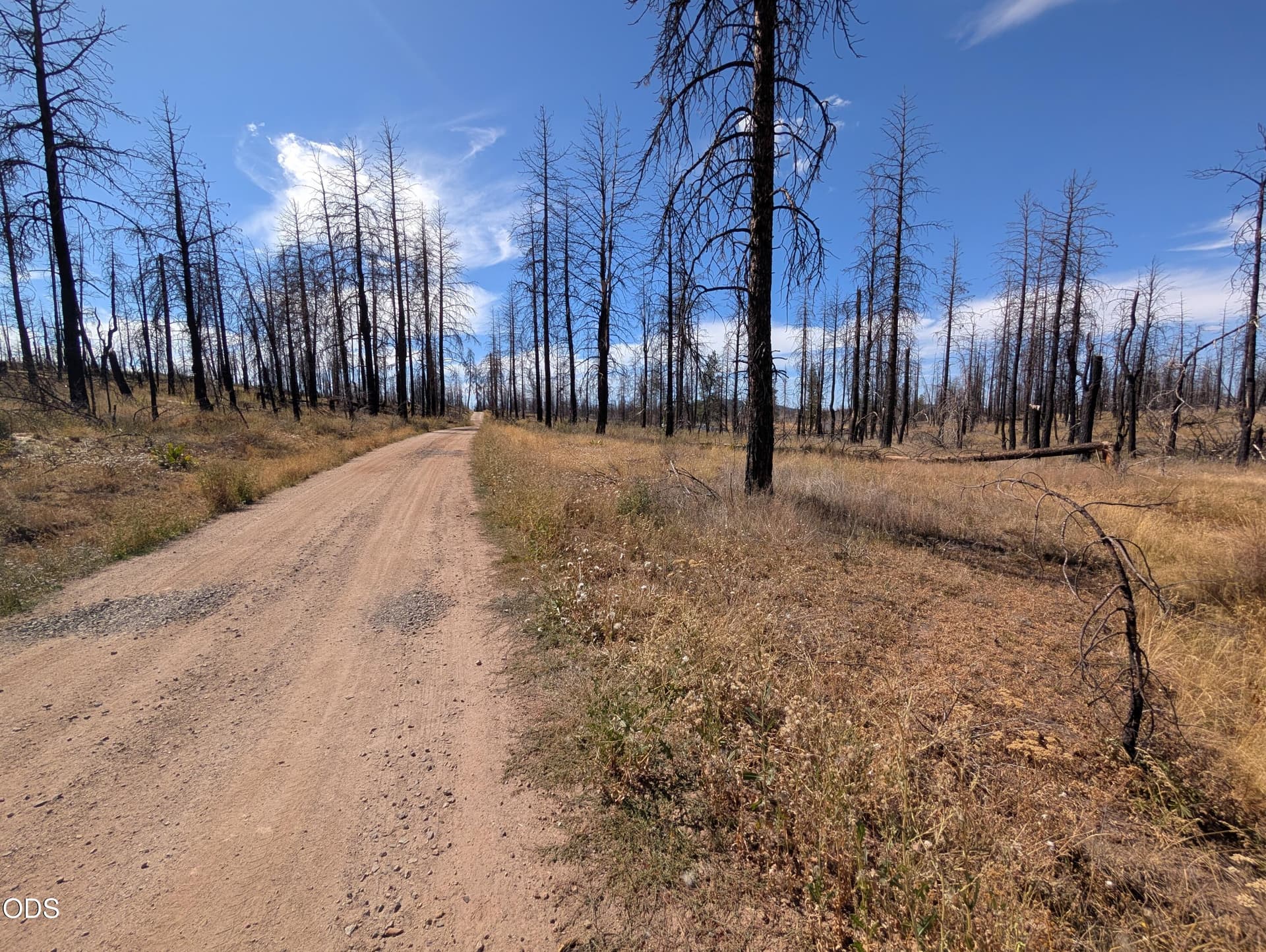 1000015205. Photo 2 of 7, Black Buck Lane Unit 25, Chiloquin, OR 97624