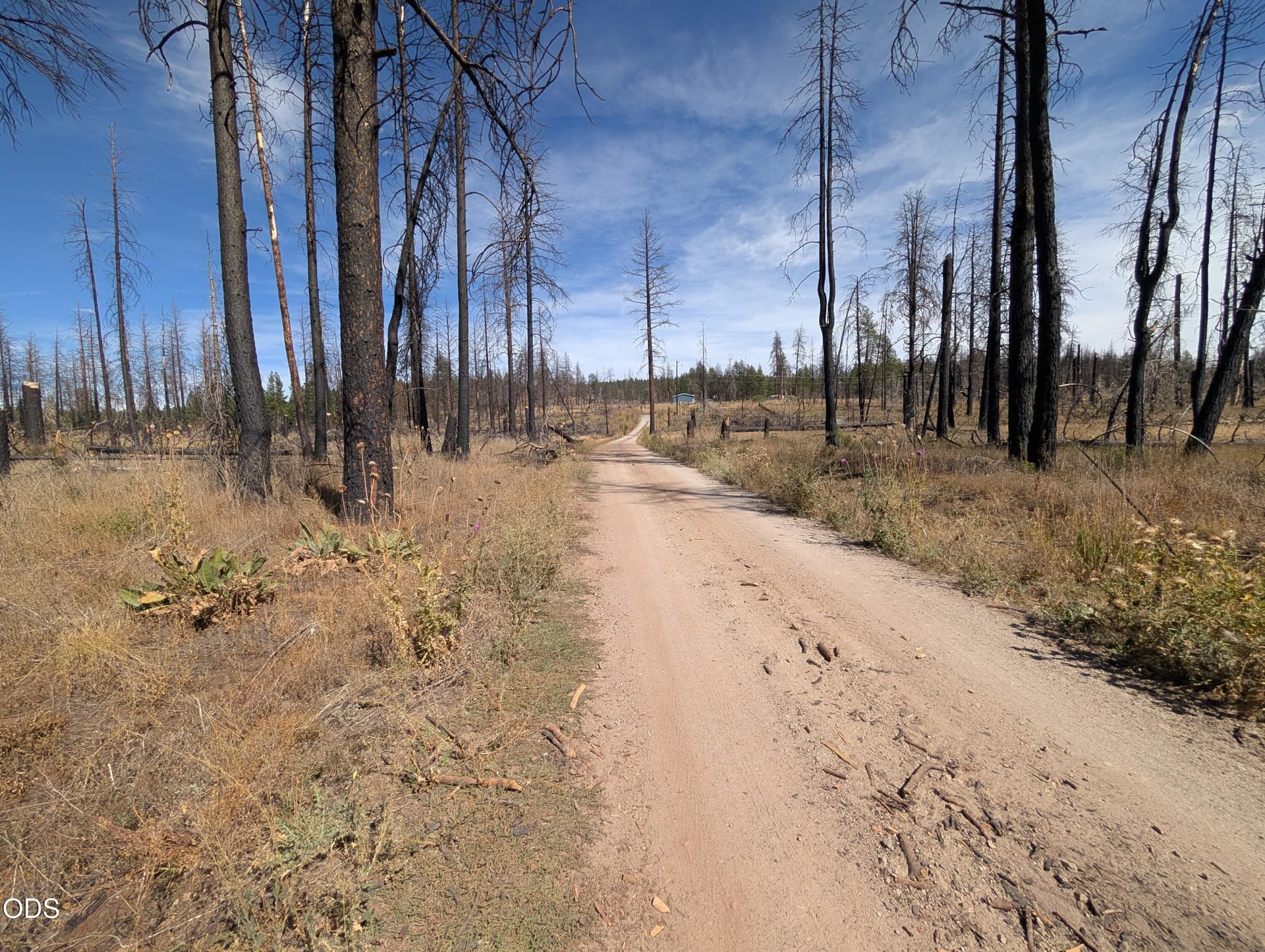 1000015206. Photo 3 of 7, Black Buck Lane Unit 25, Chiloquin, OR 97624