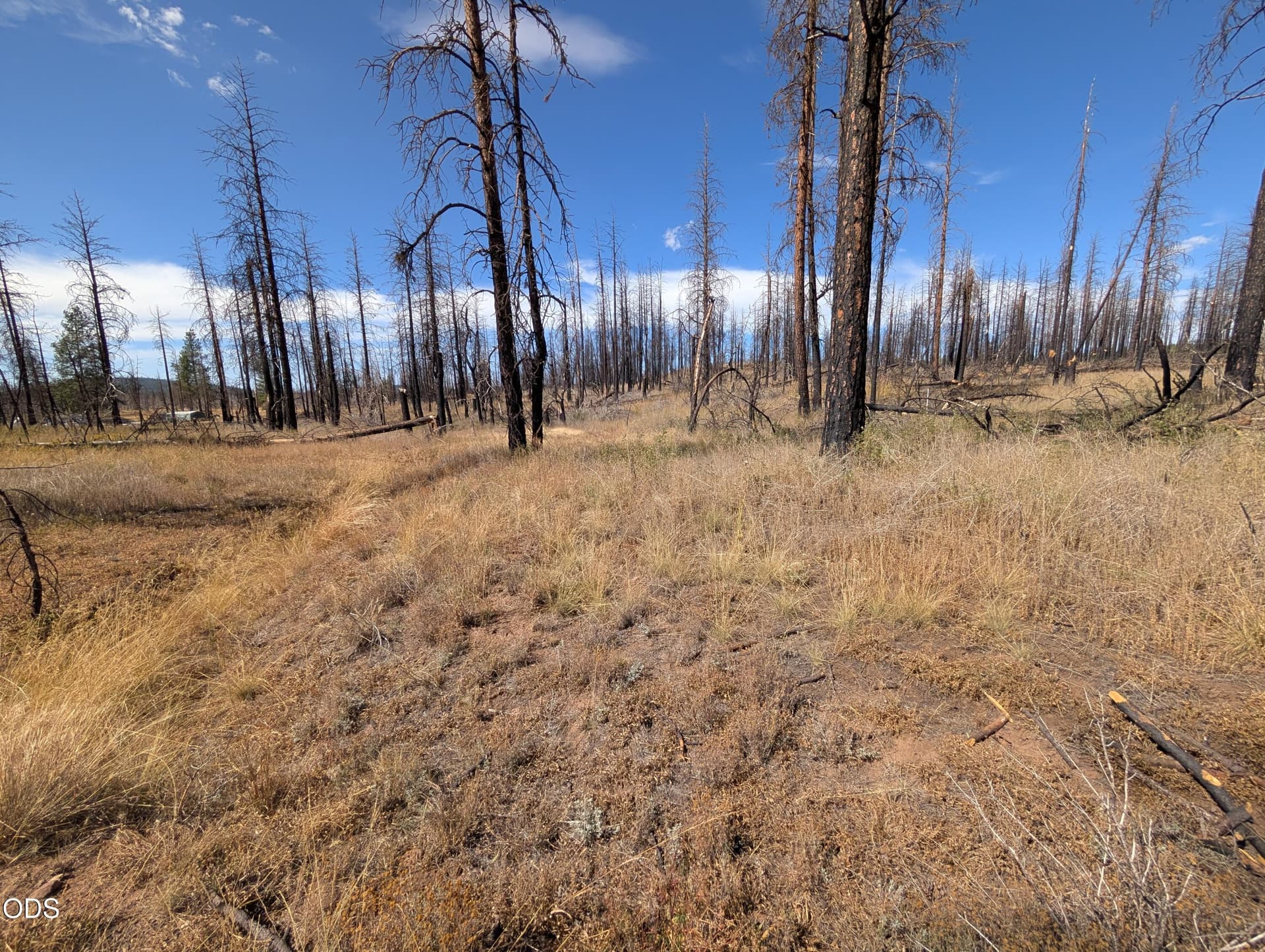 1000015207. Photo 4 of 7, Black Buck Lane Unit 25, Chiloquin, OR 97624