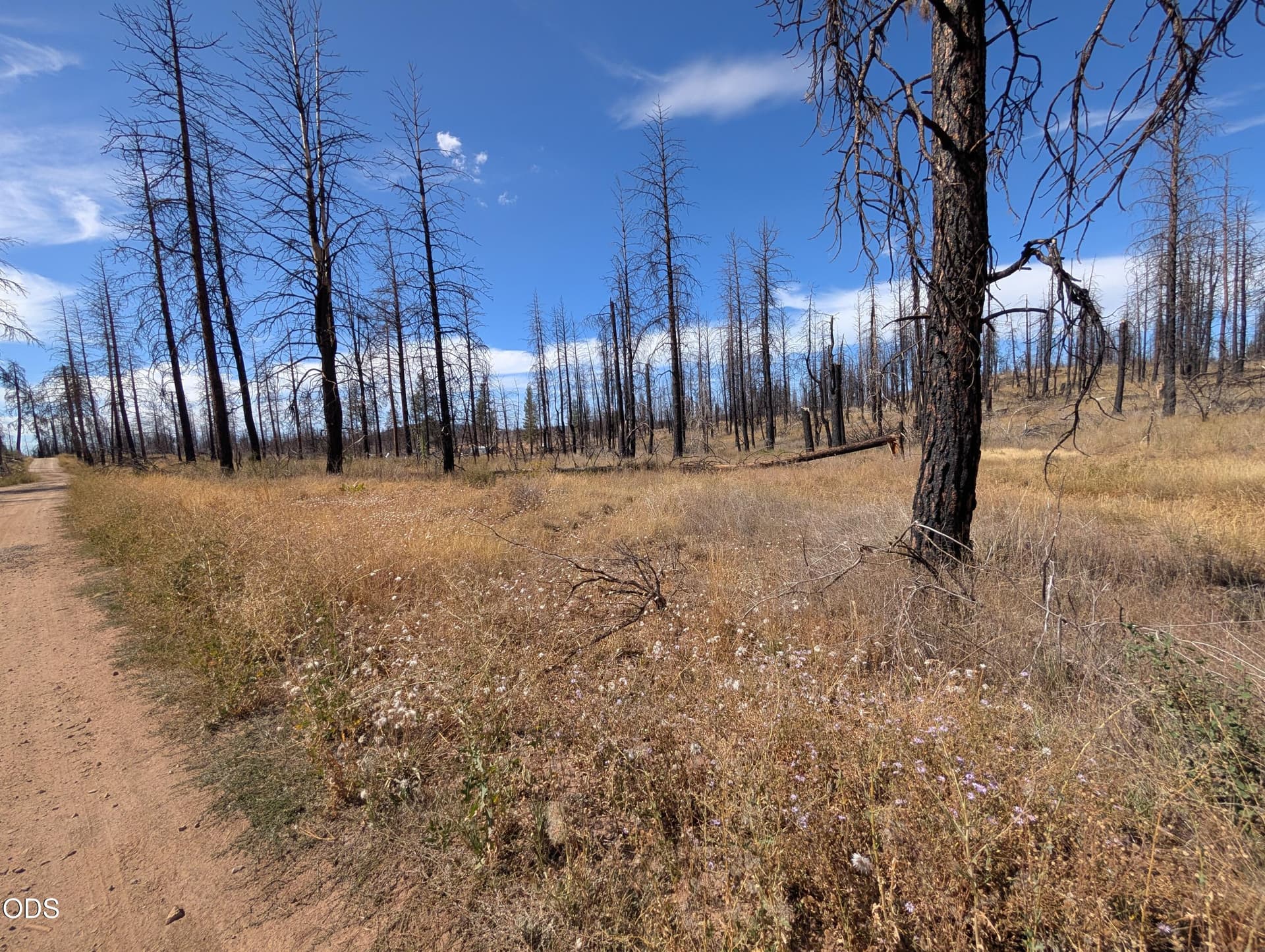 1000015208. Photo 5 of 7, Black Buck Lane Unit 25, Chiloquin, OR 97624