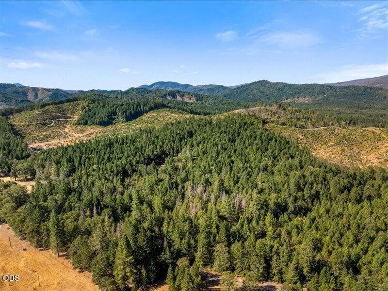 01-DRONE (1 of 8). Photo 2 of 21, 450 Brown Road, O'Brien, OR 97534