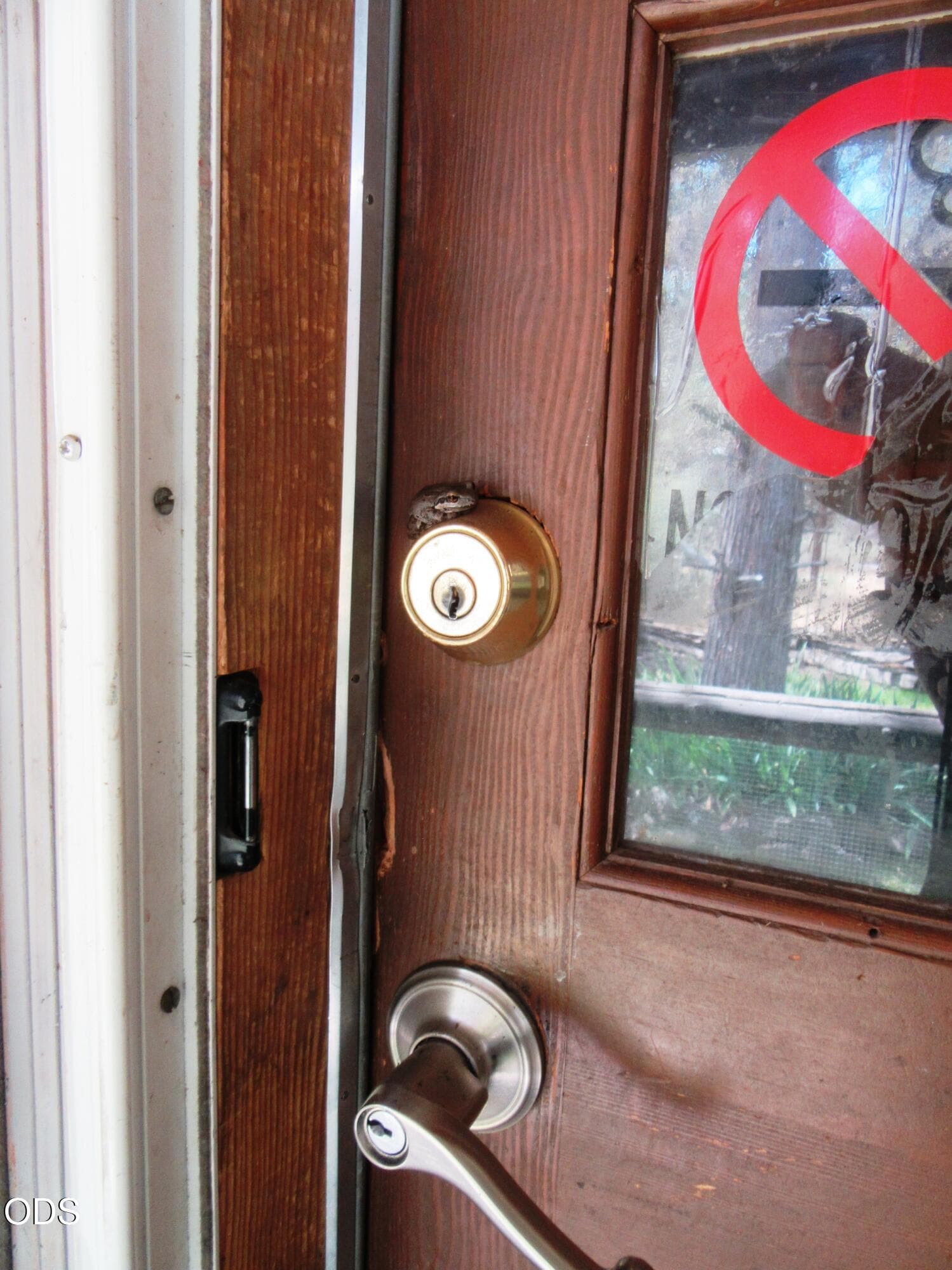 tree frog likes deadbolt His safe warm. Photo 5 of 63, 541 Mathews Road, Dorris, CA 96023