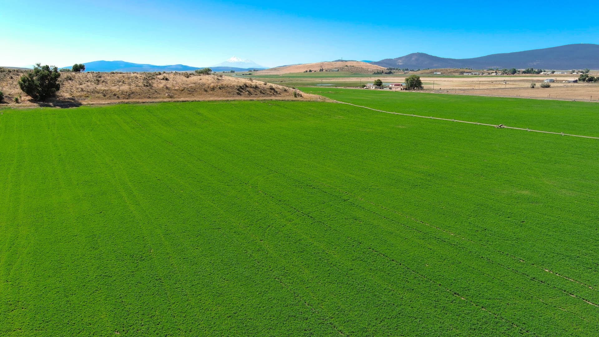 DF (100). Photo 1 of 81, 392 Del Fatti Lane, Klamath Falls, OR 97603