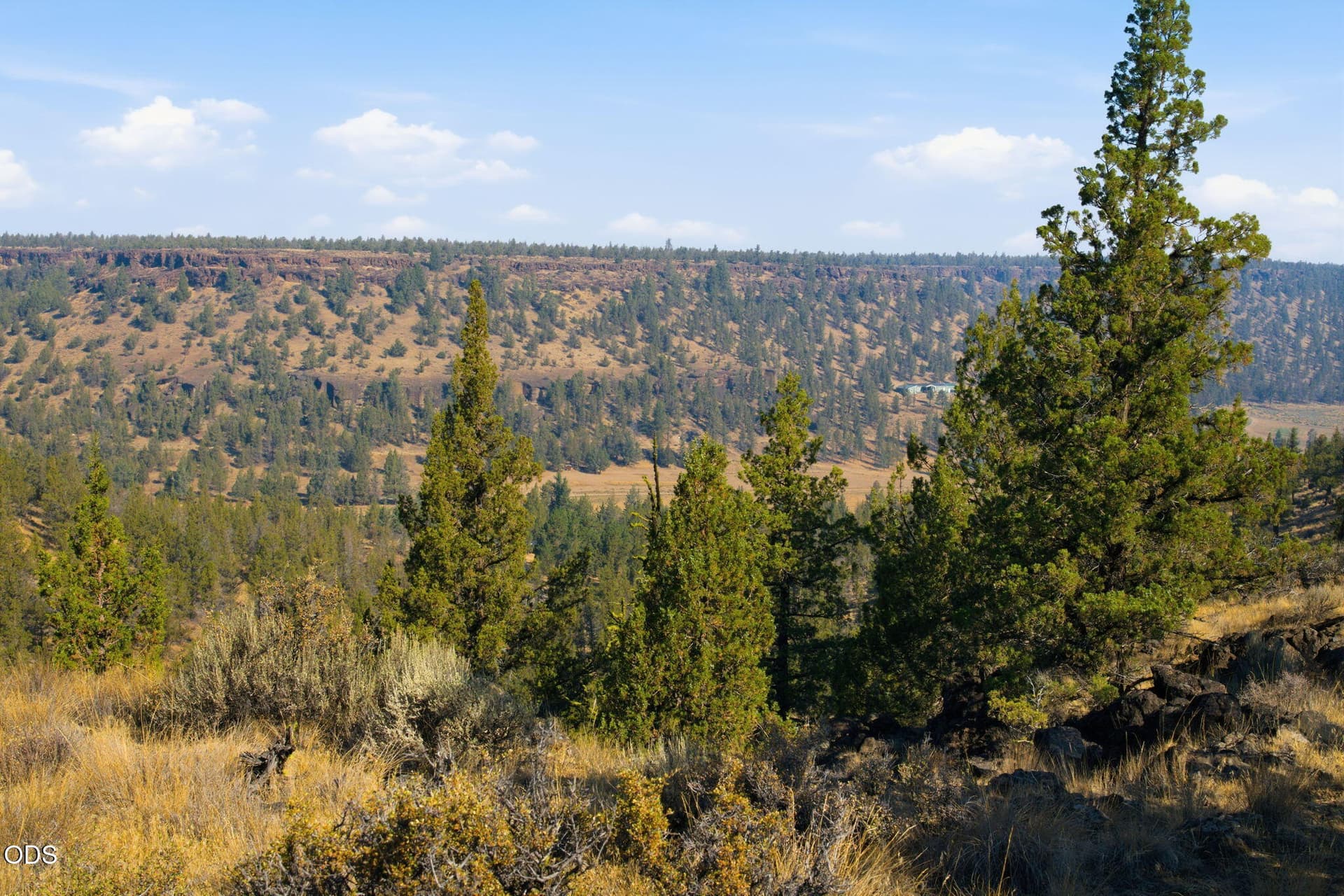 10-web-or-mls-DSC_1602. Photo 5 of 23, 70110 McKenzie Canyon Road, Terrebonne, OR 97760
