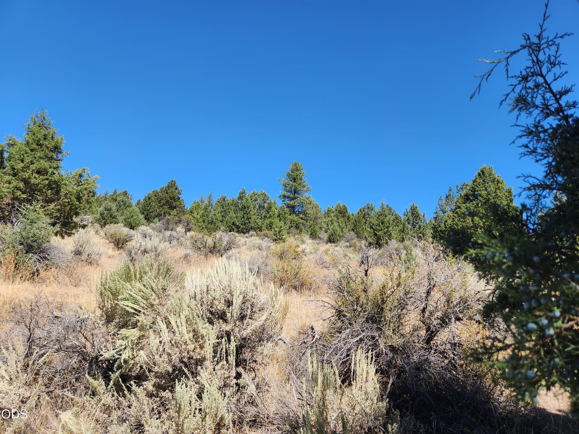 3. Photo 3 of 16, Drews Rd Unit 7, Sprague River, OR 97639