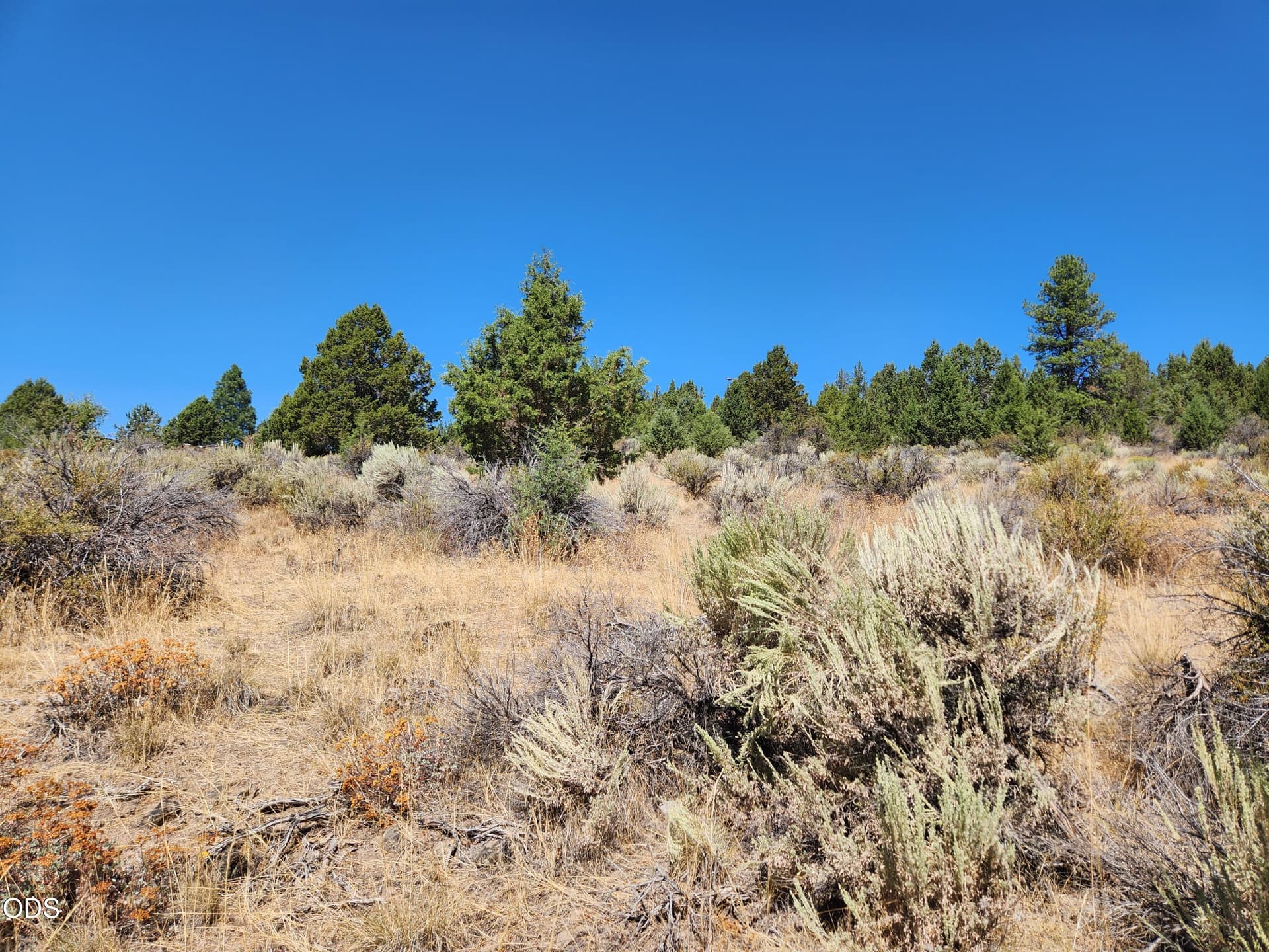 4. Photo 4 of 16, Drews Rd Unit 7, Sprague River, OR 97639