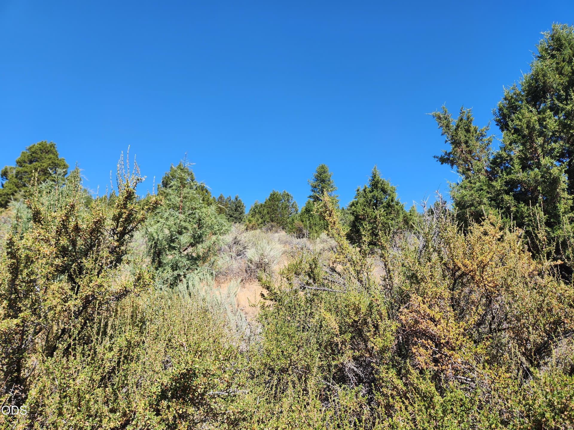 5. Photo 5 of 16, Drews Rd Unit 7, Sprague River, OR 97639