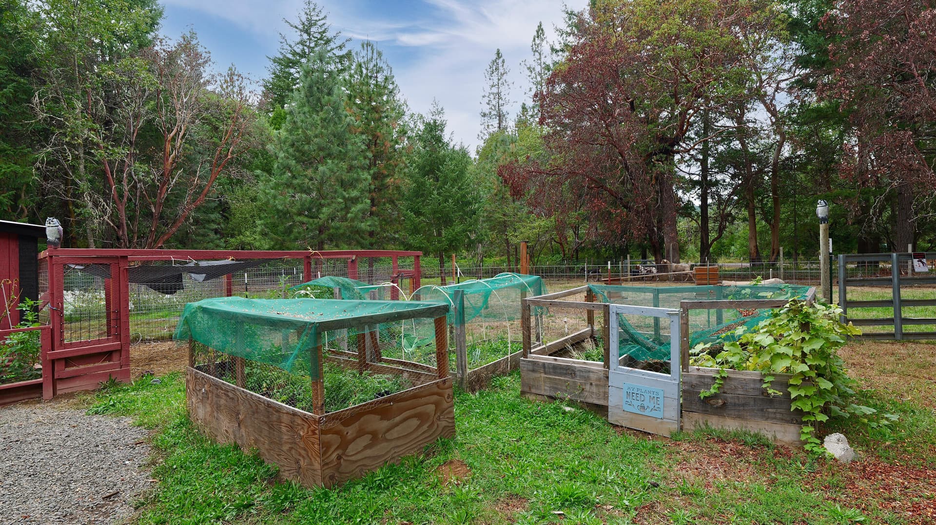 Garden. Photo 4 of 70, 1771 Mill Creek Drive, Prospect, OR 97536