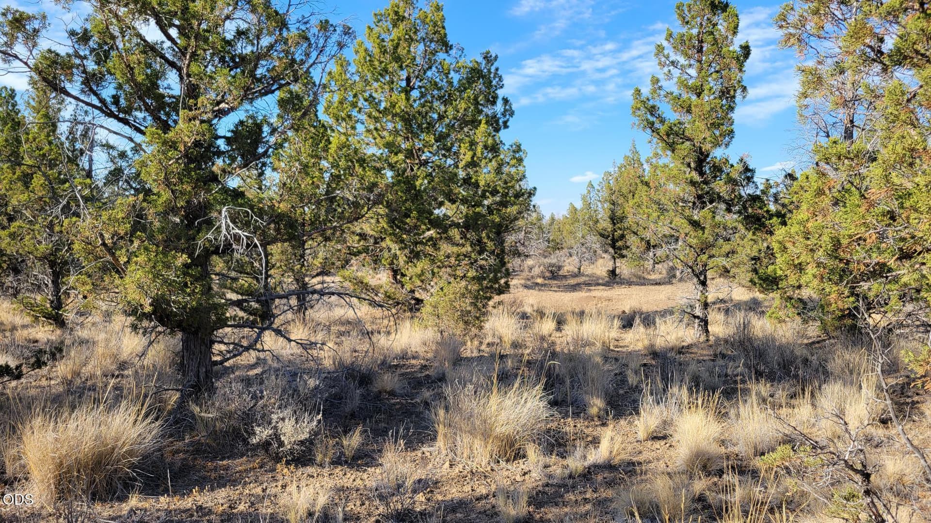 1000060322. Photo 2 of 18, 2300 SE Hickory Lane, Prineville, OR 97754