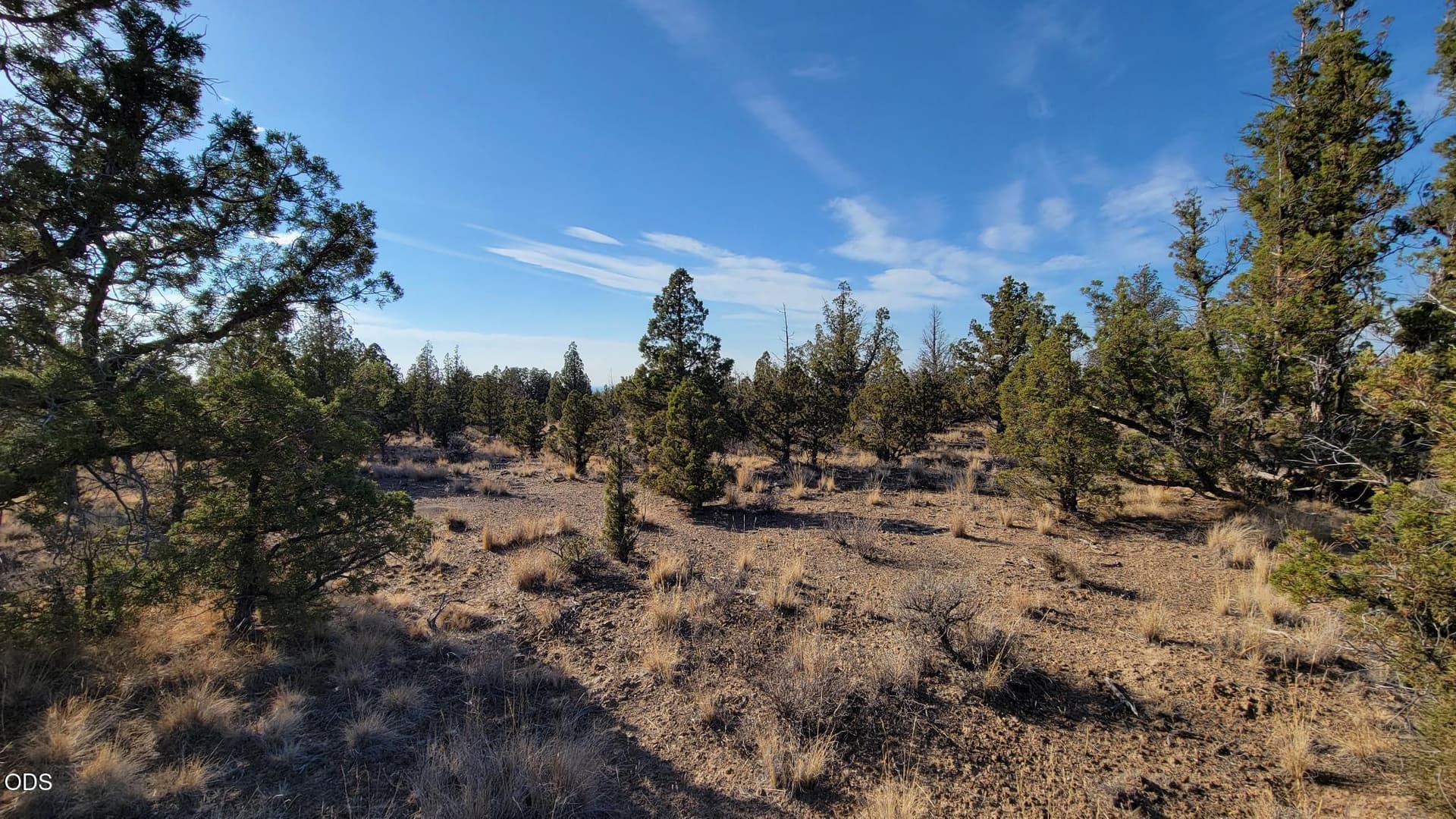 1000060324. Photo 5 of 18, 2300 SE Hickory Lane, Prineville, OR 97754