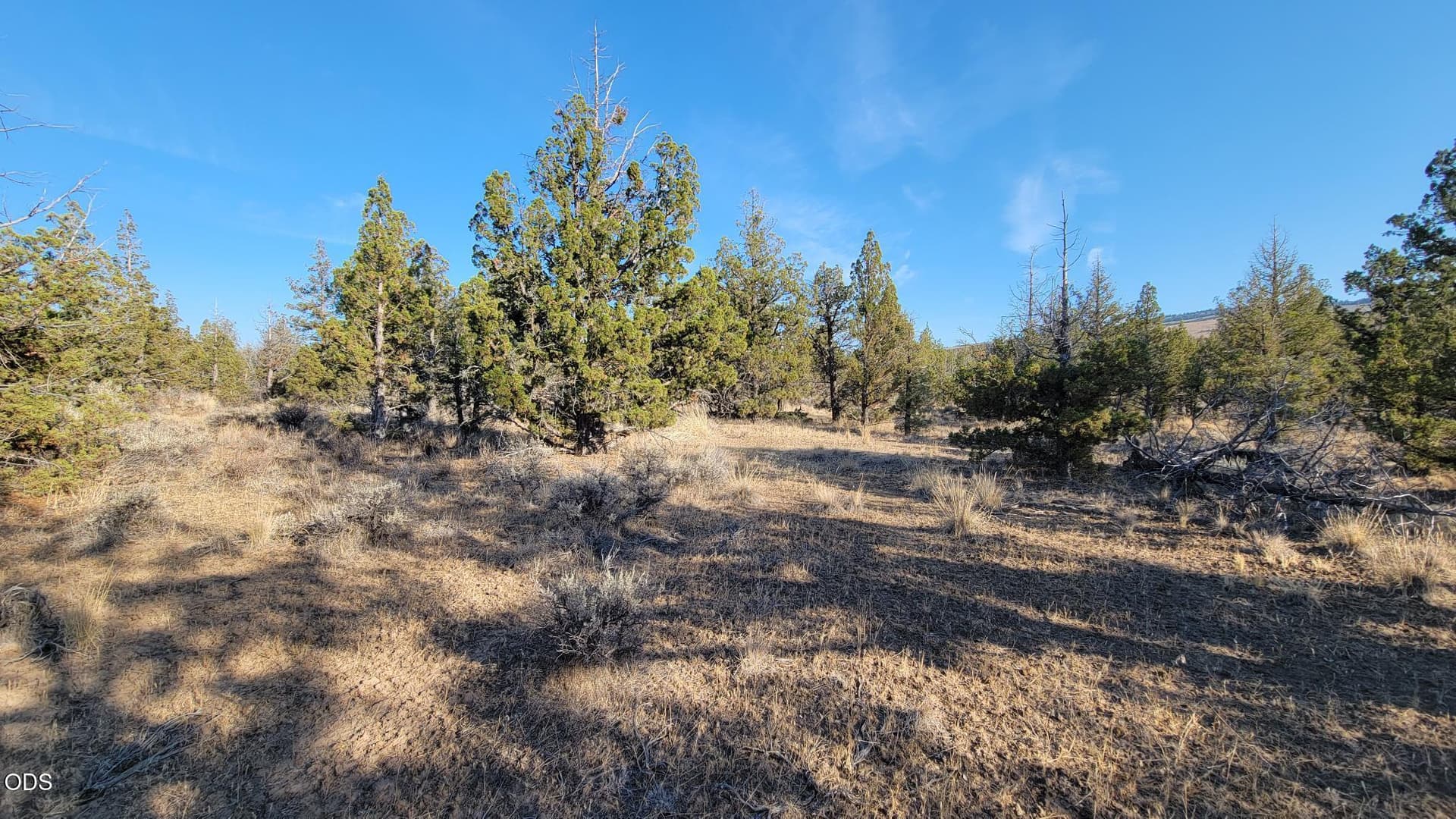 1000060332. Photo 4 of 18, 2300 SE Hickory Lane, Prineville, OR 97754