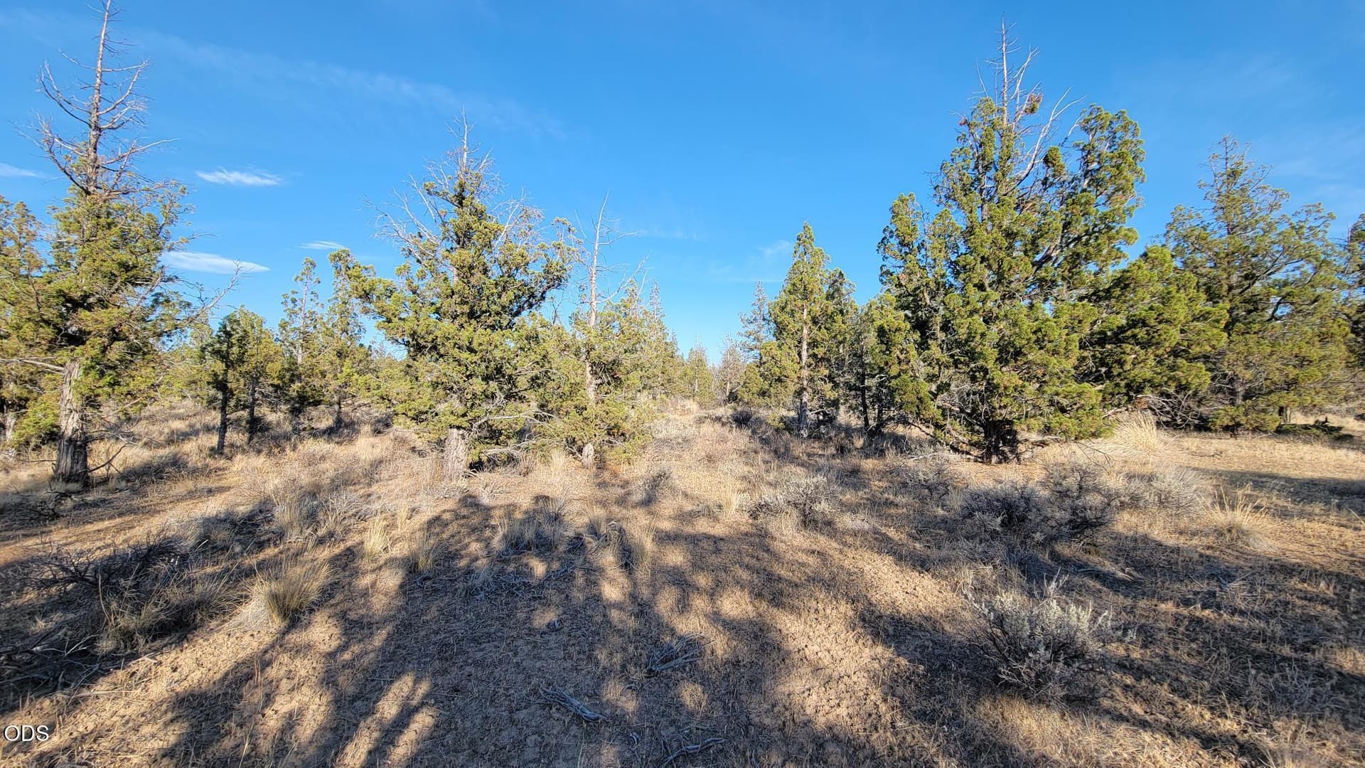 1000060333. Photo 3 of 18, 2300 SE Hickory Lane, Prineville, OR 97754