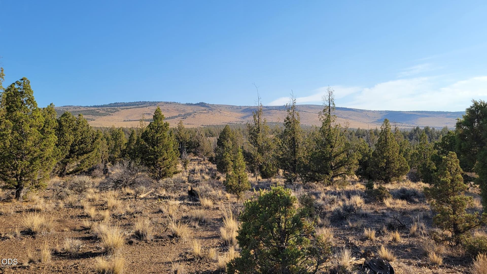 1000060350. Photo 1 of 18, 2300 SE Hickory Lane, Prineville, OR 97754