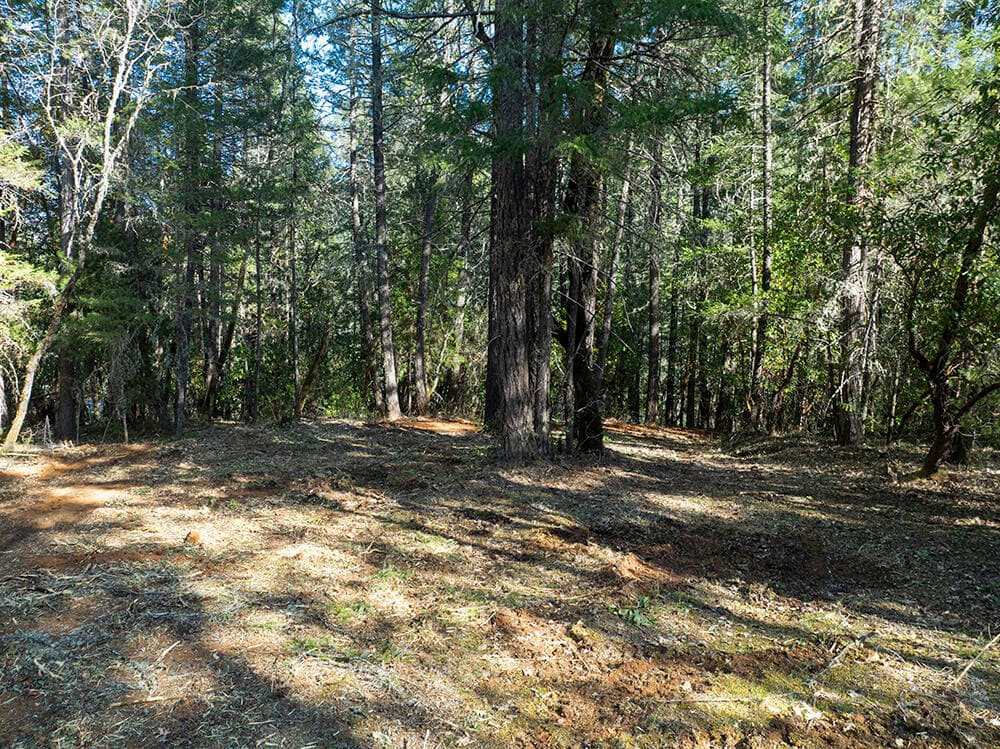 2b. Photo 4 of 26, 12060 Redwood Highway, Wilderville, OR 97543