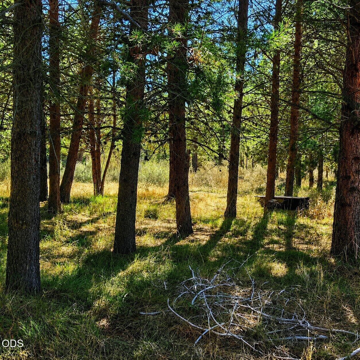 5. Photo 5 of 5, 0 Moccasin Lane, Sprague River, OR 97639