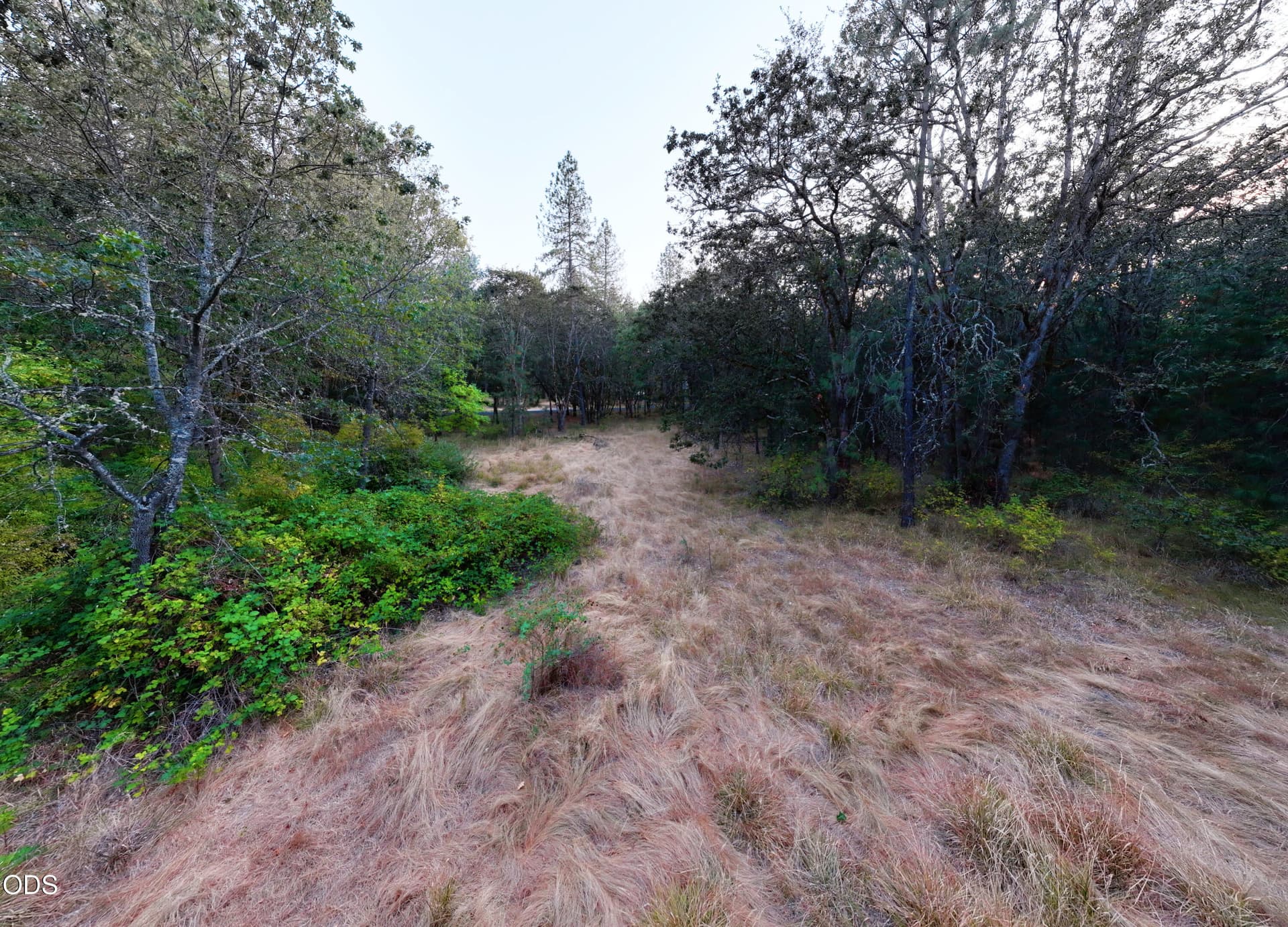 DJI_20260831195841_0024_D. Photo 5 of 12, 3200 De Woody Lane, Grants Pass, OR 97527