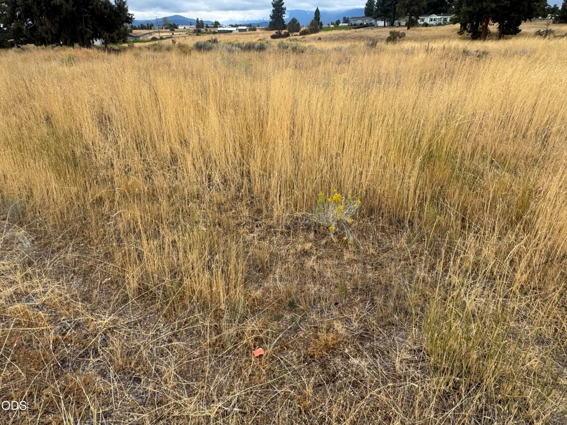 IMG_9140. Photo 2 of 6, 0 Meadowview Drive Unit Lot 2, Chiloquin, OR 97624