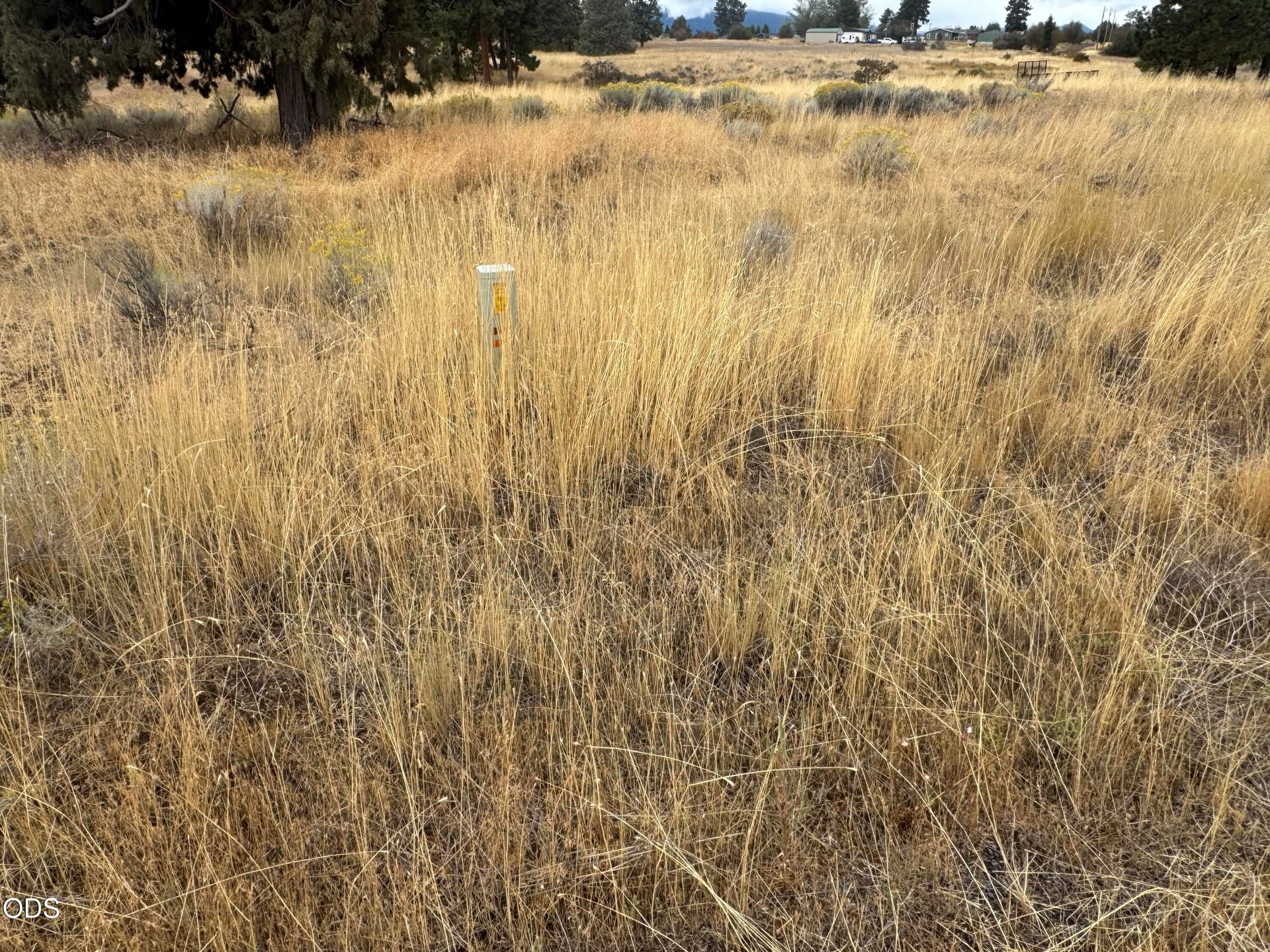 IMG_9137. Photo 5 of 6, 0 Meadowview Drive Unit Lot 2, Chiloquin, OR 97624