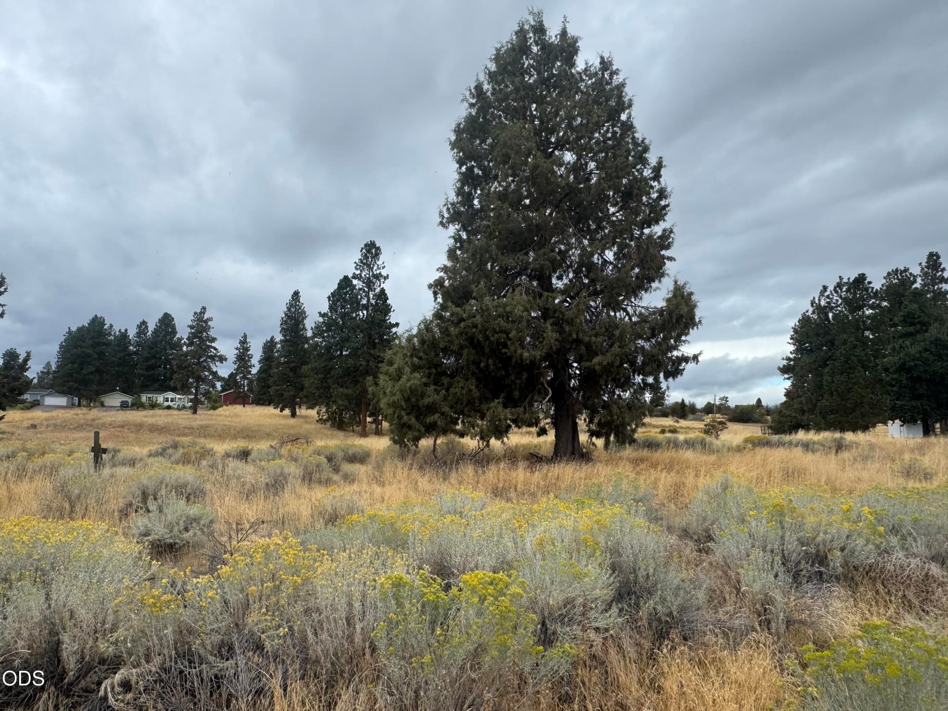 IMG_9135. Photo 1 of 6, 0 Meadowview Drive Unit Lot 2, Chiloquin, OR 97624