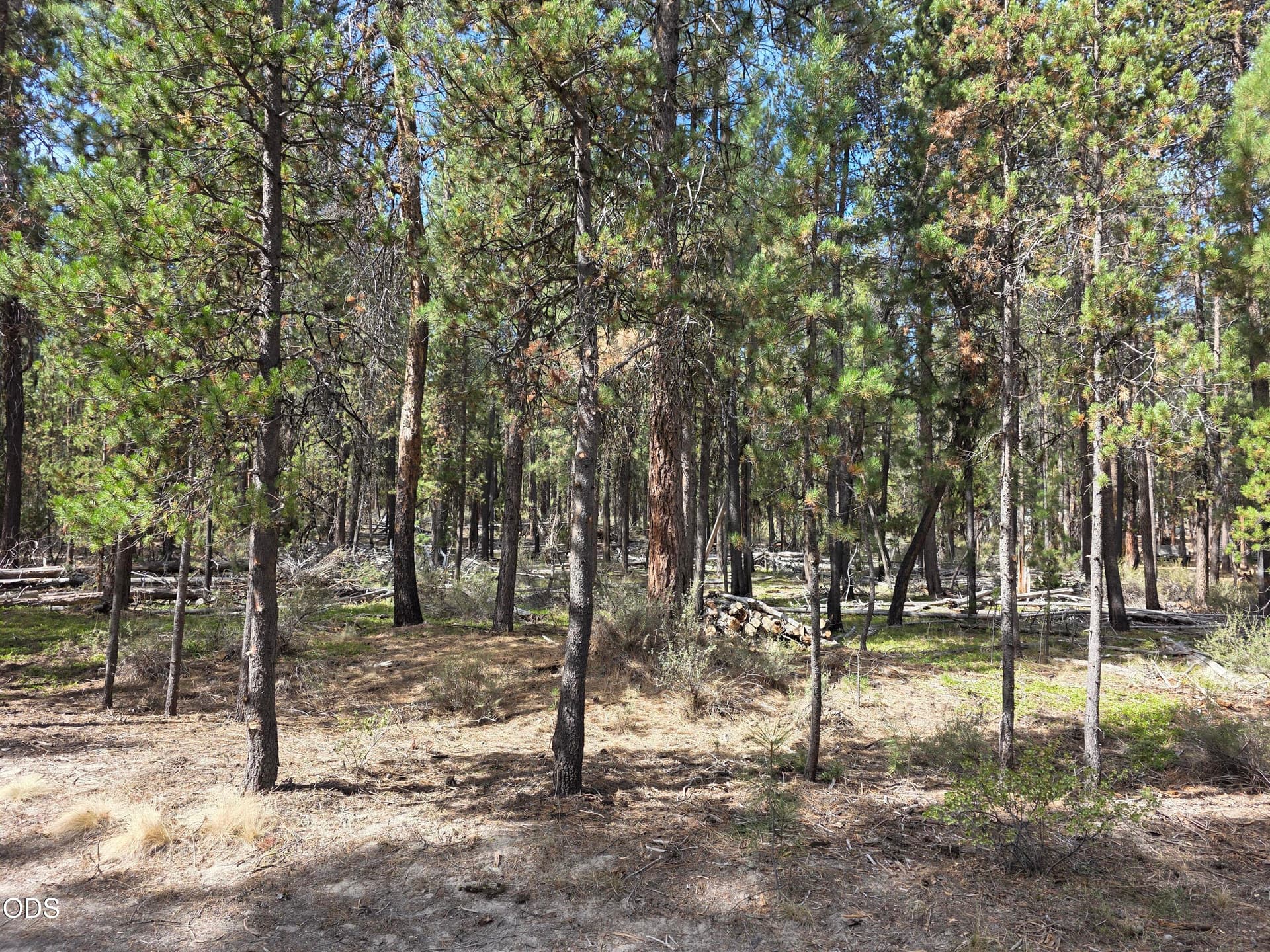 1000019515. Photo 3 of 23, 50429 Cascade Street, La Pine, OR 97739