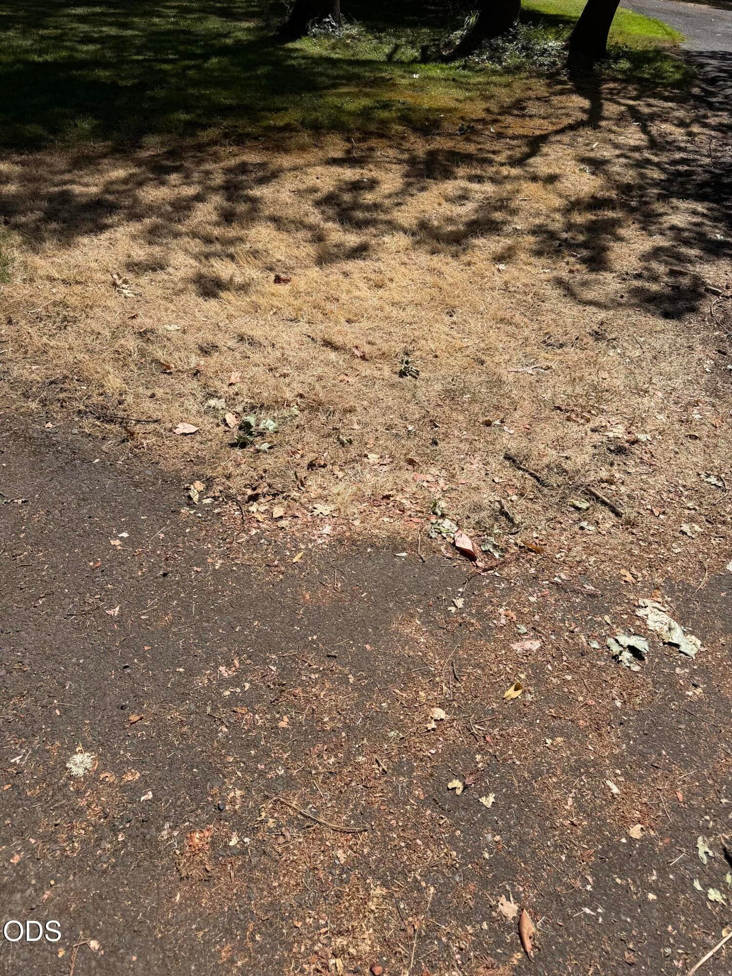 IMG_5469. Photo 1 of 1, Janney Lane, Medford, OR 97501