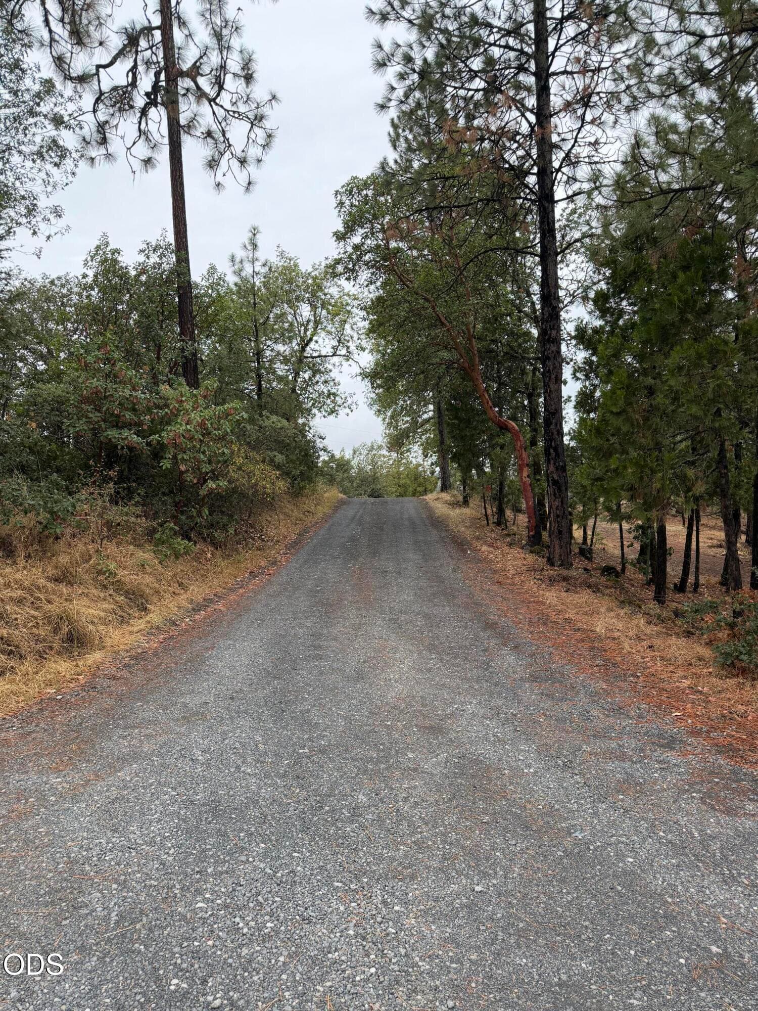IMG_5496. Photo 1 of 1, N Obenchain Road, Butte Falls, OR 97522