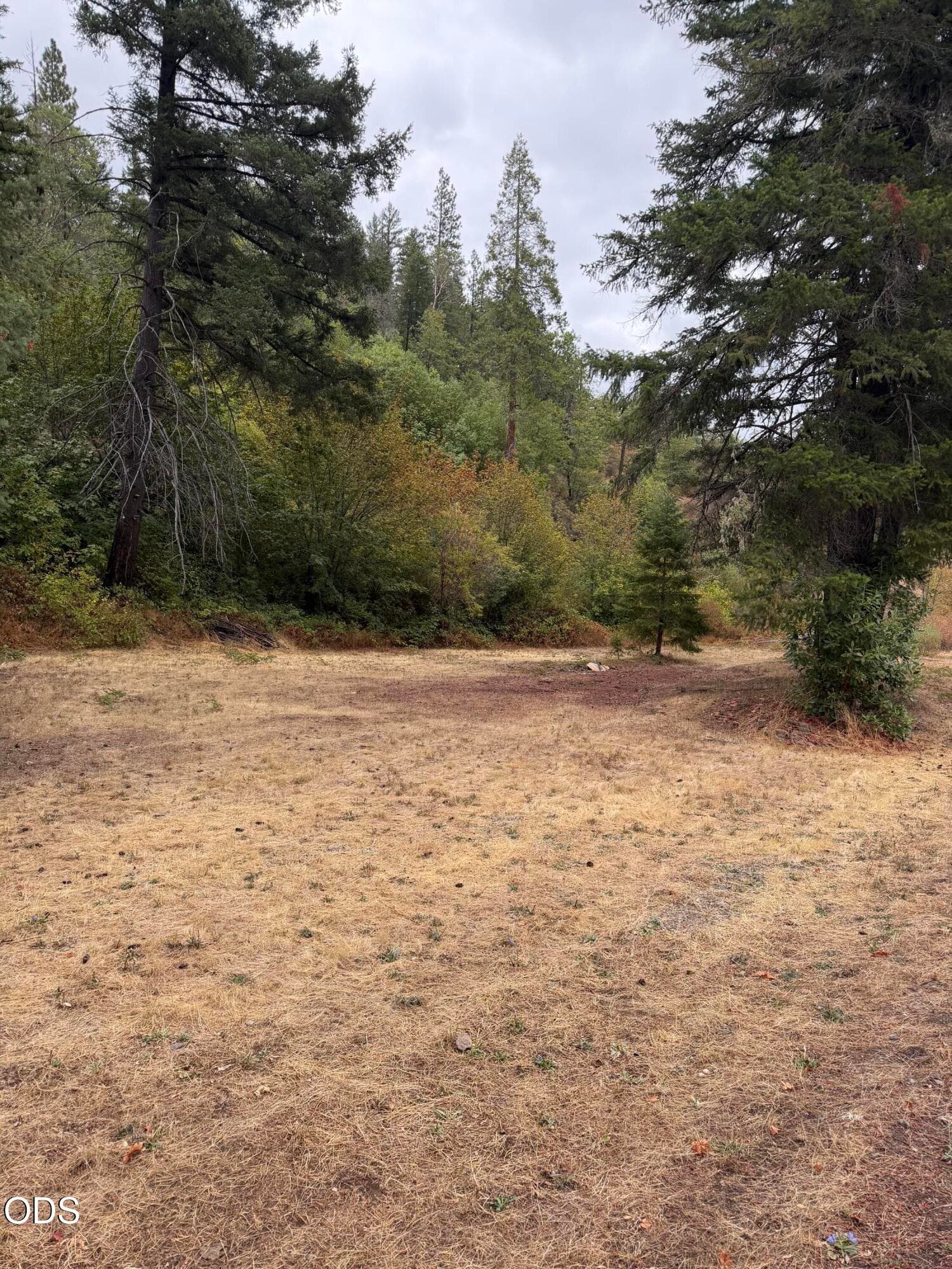 IMG_5498. Photo 1 of 1, Ulrich Road, Prospect, OR 97536
