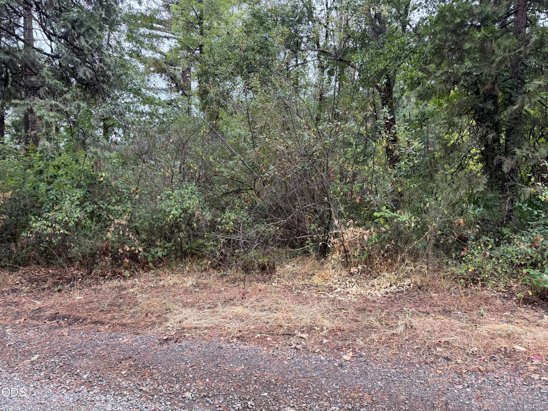 IMG_5497. Photo 1 of 1, 0 Elk Creek Road, Trail, OR 97541