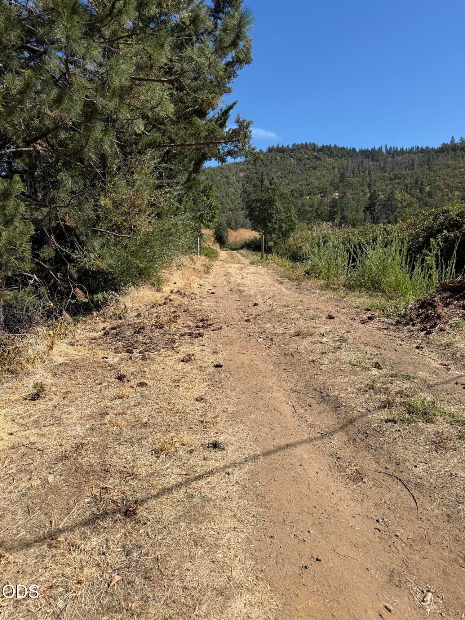 IMG_5474. Photo 1 of 1, Tolman Cr Road, Ashland, OR 97520